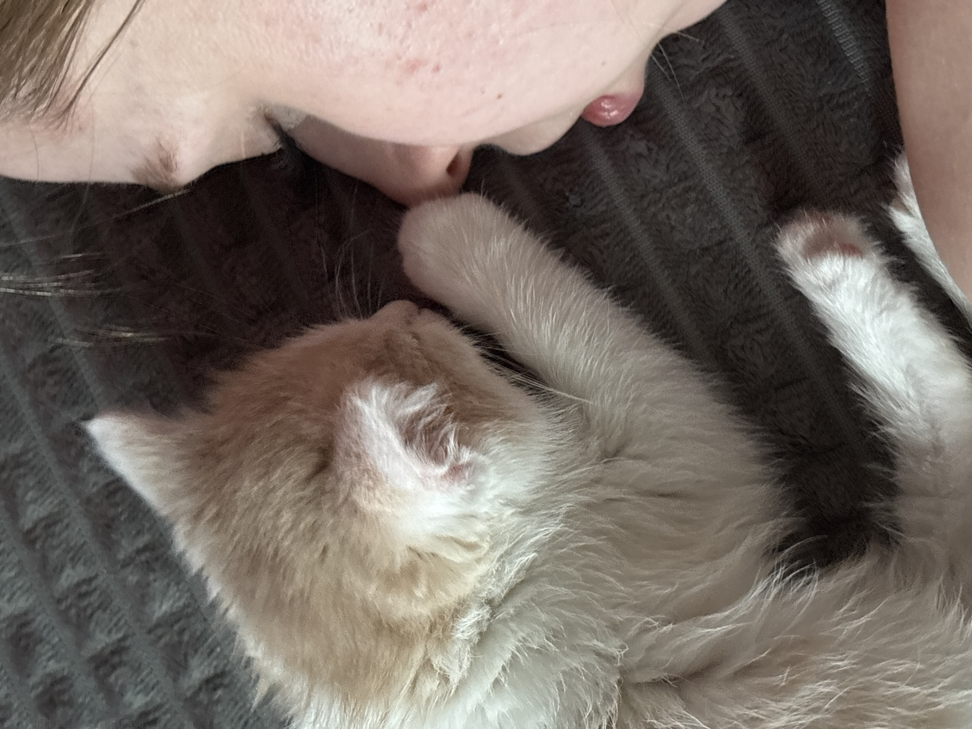 A close-up, angled, medium shot features a light-skinned individual interacting with a small, sleeping kitten. The person's nose and mouth are positioned near the kitten's head, suggesting affection. The kitten, predominantly white with patches of light orange, lies on a textured grey surface. The setting appears to be indoors, likely on a bed or couch. The location of this image is unknown, with no clues provided to suggest it was taken in Perm, Russia, or anywhere else.