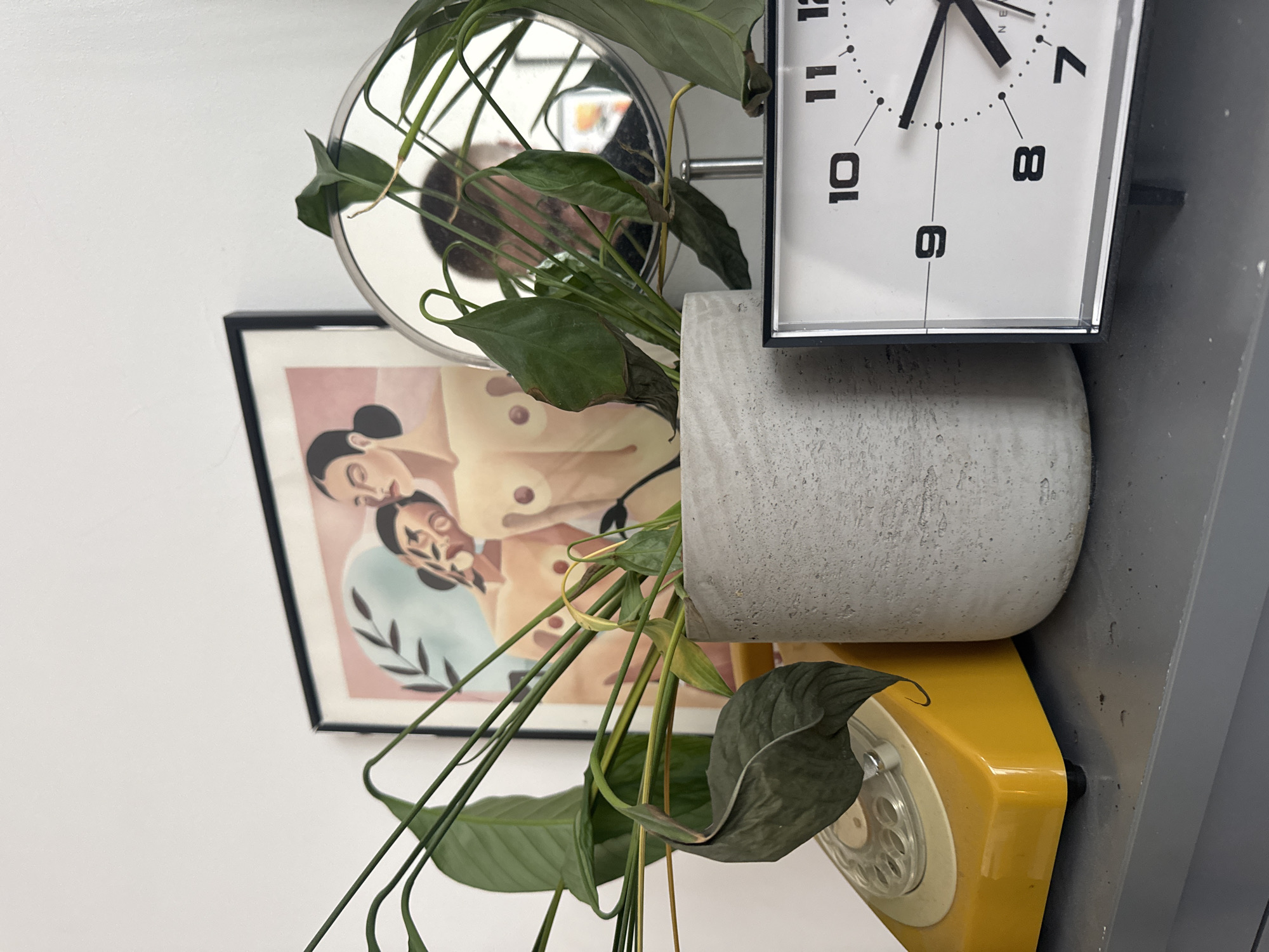 A cluttered, slightly tilted shot showcases a section of a wall or display in what appears to be an interior setting, though a specific location in London, UK, is not discernible from the image. Dominating the foreground is a houseplant in a concrete-like pot. The plant's leaves and stems obscure much of what is behind it. Behind the plant is a framed picture depicting two people in a somewhat abstract style. To the right of the plant pot is a yellow, vintage-style rotary telephone. Above the plant pot, a square clock with a white face and black numbers is mounted. To the left of the plant and clock, a small round mirror reflects the face of an individual taking the picture. The items appear arranged on a shelf or against a wall with a grey or metallic vertical surface. The overall impression is of a small, curated, and perhaps eclectic display of objects. The setting is indoors.