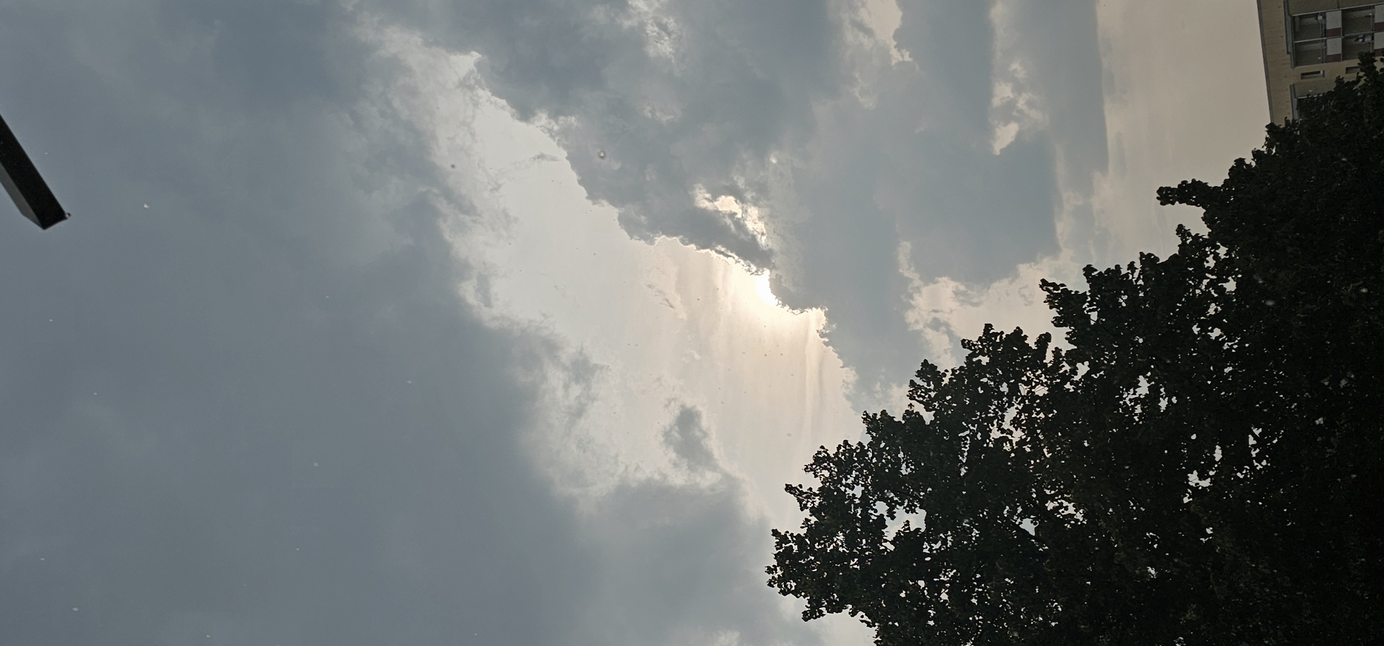 The image depicts a cloudy sky with the sun peeking through, casting a soft glow. In the foreground, the silhouette of a tree with dense foliage is visible, with parts of a building visible on the right. The photo was taken in Dresden, Germany.