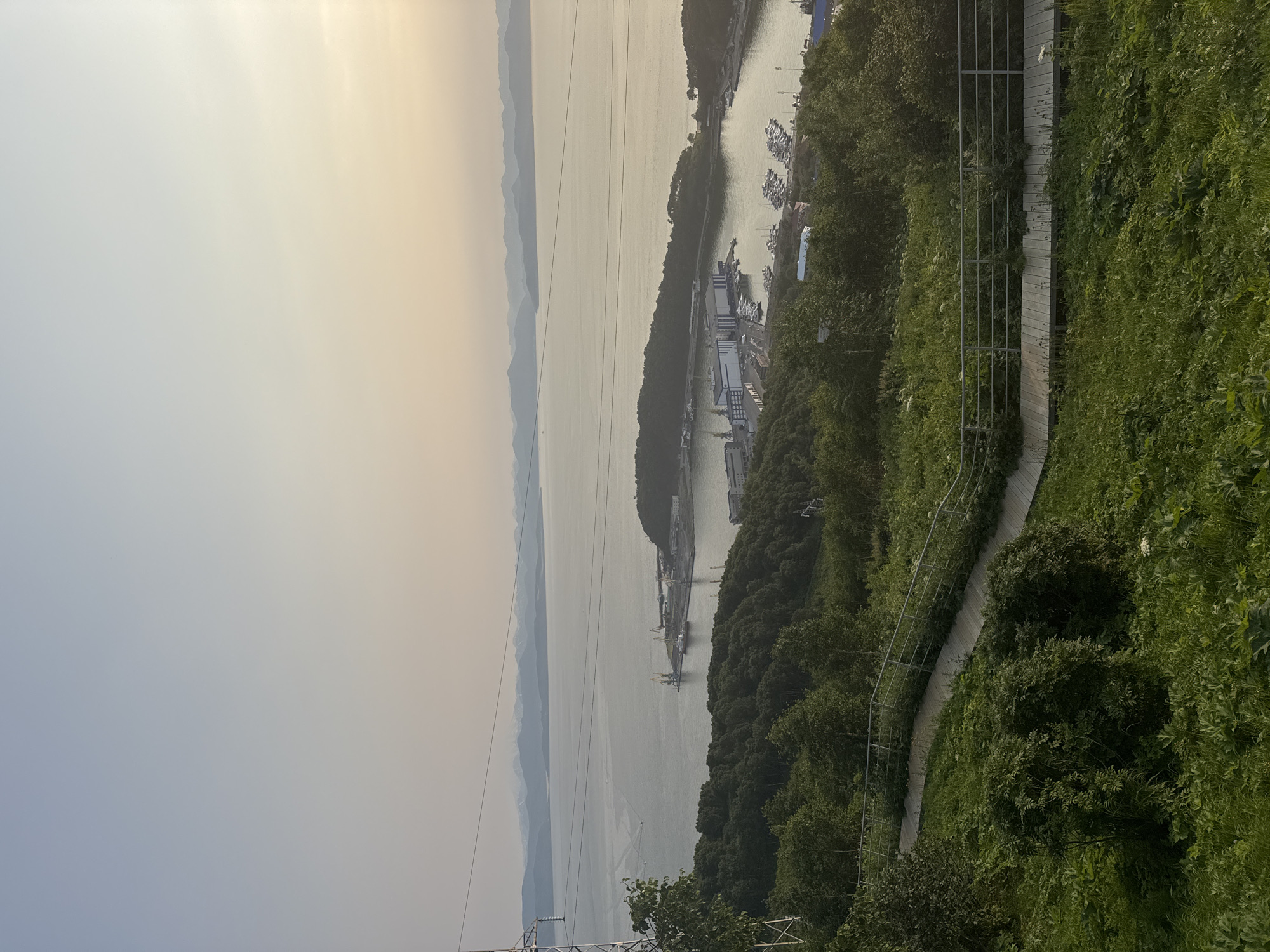 The image shows a scenic overlook in Petropavlovsk-Kamchatsky, Russia, offering a panoramic view of the city's harbor and surrounding landscape. In the foreground, a wooden pathway with metal railings winds through lush green vegetation. Beyond this, a dense forest covers a hillside sloping down towards the water.
The middle ground reveals a bustling harbor with various vessels, including yachts and larger ships docked near industrial buildings and cranes. The water reflects the soft, hazy light of a possibly late afternoon or early morning sky. In the distance, a vast expanse of water stretches towards a coastline marked by rolling hills and mountains, some of which appear snow-capped. A power transmission tower and lines are visible on the left side of the frame, indicating the presence of infrastructure within the city. The overall atmosphere is serene and picturesque, showcasing the natural beauty of the region combined with its maritime activity. There are no people visible in the image.