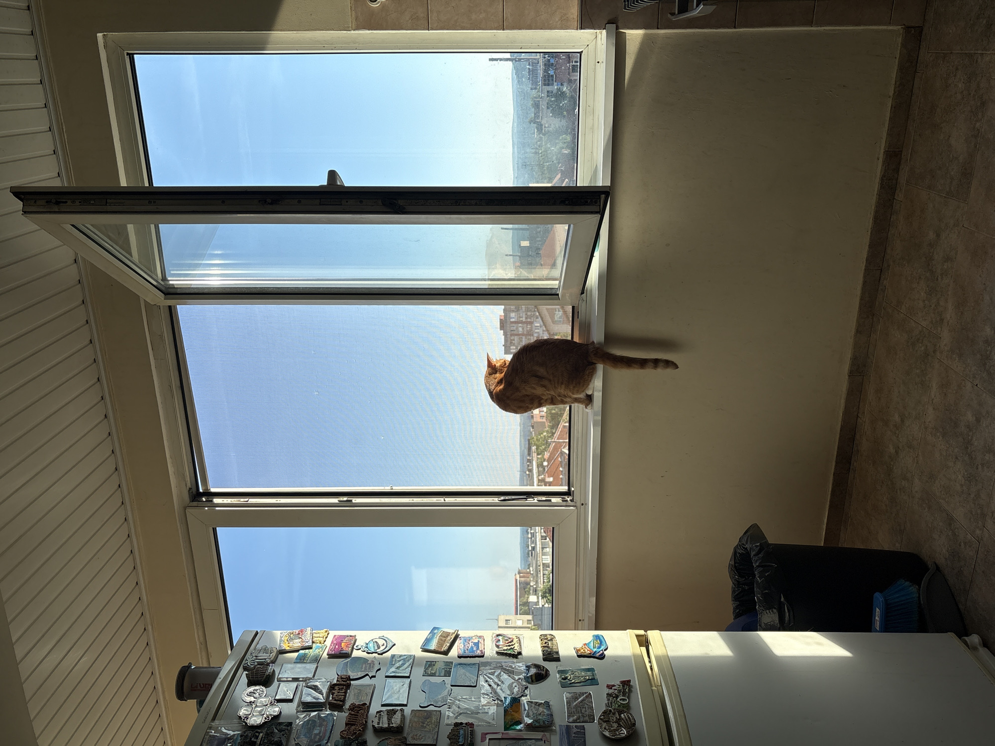 The image depicts an indoor scene looking out a window at a city view. An orange cat is sitting on the windowsill, facing away from the camera and looking out the window. The window is partially open, allowing a view of buildings and a clear blue sky. To the left of the window, a refrigerator is visible, covered in numerous magnets. A trash can with a black bag is positioned on the floor to the left of the window. The flooring appears to be tiled. The overall lighting suggests it is daytime, with sunlight casting shadows. The city visible outside the window is Vratsa, Bulgaria.