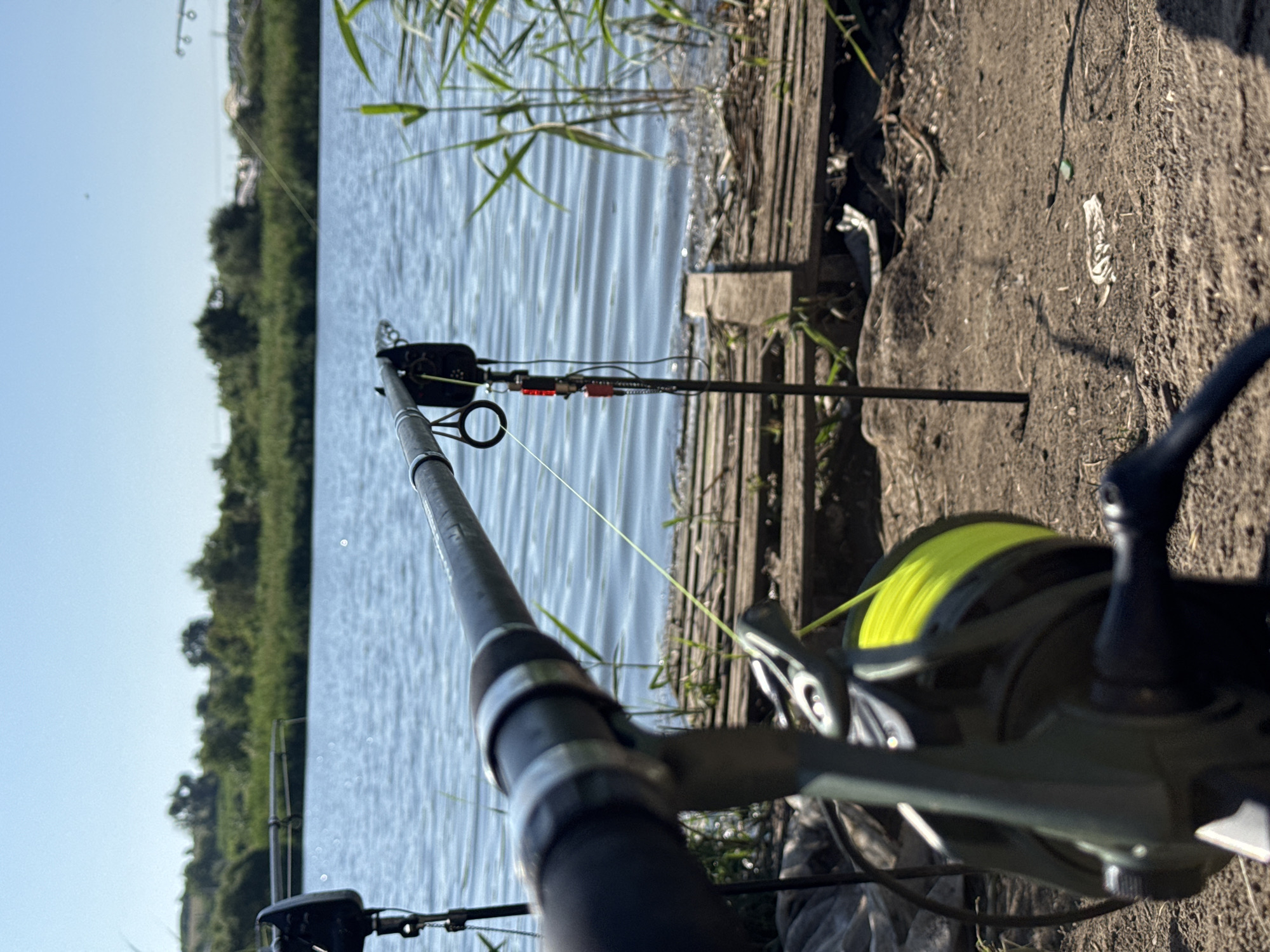 The image depicts a fishing setup on the shore of a body of water, likely a lake or river, in Mikhaylovsk, Russia. The foreground is dominated by a fishing rod and reel, with a bright yellow fishing line prominently visible. The rod is propped up on a black fishing rod pod, which is a common piece of equipment for carp fishing. In the background, there is a calm body of water with gentle ripples, and beyond that, a lush green treeline and a clear blue sky. The shore appears to be made of dirt and is lined with some wooden planks, suggesting a prepared fishing spot. There are also reeds growing near the water's edge. The scene is bathed in natural sunlight, indicating it is daytime. There are no people visible in the image, and the overall impression is one of peaceful solitude and outdoor recreation.