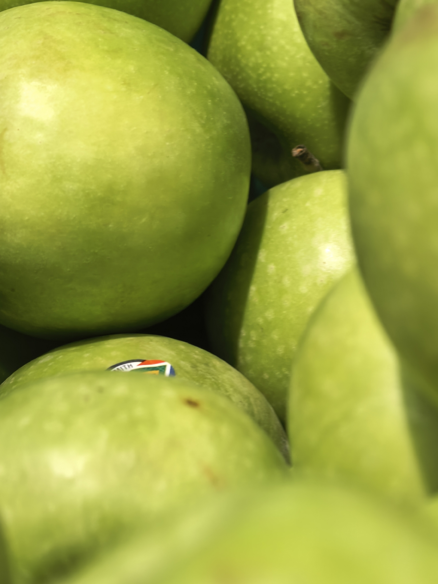 The media file is a close-up, vertical shot of a pile of bright green apples. The apples are the sole subjects, filling the entire frame. The lighting appears bright and natural, suggesting it might be daytime, possibly outdoors or in a well-lit indoor setting like a market. The focus is shallow, with some apples sharp and others blurred, creating a sense of depth and emphasizing the texture of the fruit.
One apple in the lower-middle section of the image has a sticker on it. The sticker is round with a colored border and appears to contain text, though it is partially obscured and blurred. Visible colors within the sticker include blue, red, yellow, and green, possibly representing a flag or a logo. The word "SMITH" is partially visible on the sticker.
No people or specific activities are depicted. The setting is ambiguous, but the presence of multiple apples suggests a place where fruit is sold or stored, such as a grocery store produce section, a fruit stand, or a farm. There are no discernible cues about the time of day or weather conditions beyond the general brightness of the scene. The overall impression is one of freshness and abundance.
