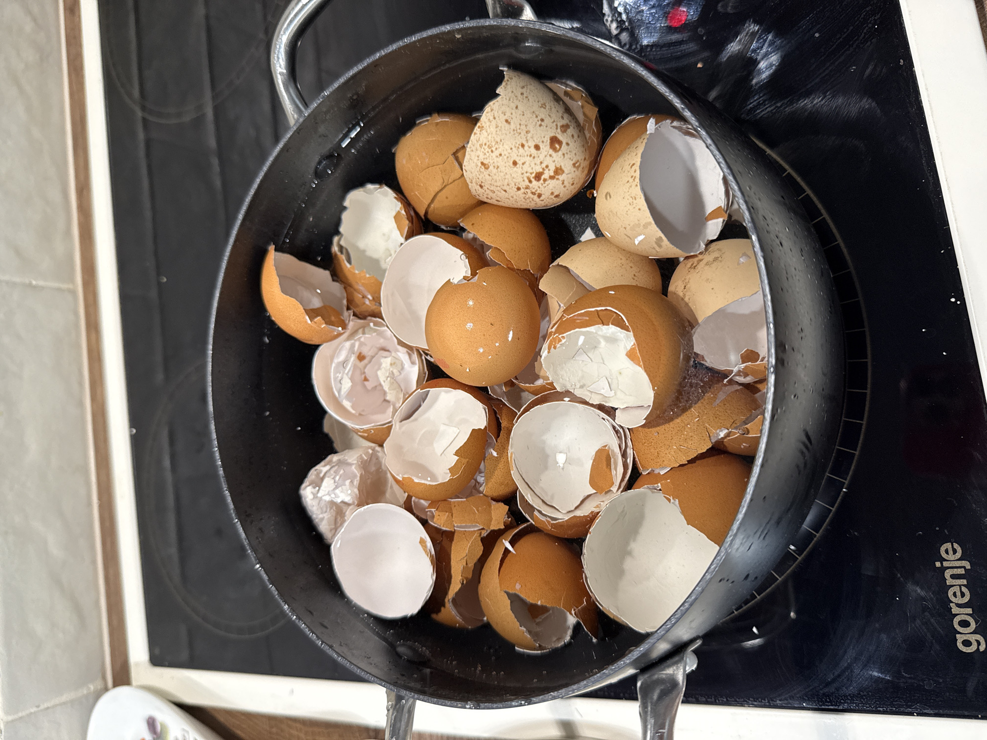 A high-angle, medium shot shows a black pot filled with broken eggshells. The shells are mostly brown, but some are white, and one is speckled. The pot is sitting on a black electric stovetop. The brand name "gorenje" is visible on the stovetop. The location is likely Sofia, Bulgaria, given the brand name on the stovetop.
