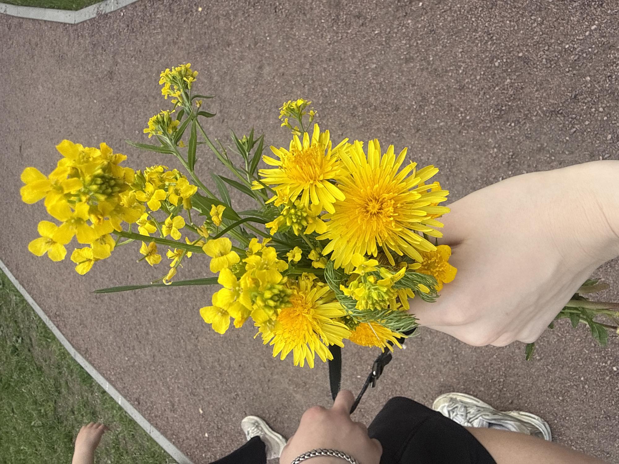 The image depicts a person holding a bouquet of yellow wildflowers, likely dandelions and rapeseed, outdoors on a paved walkway. The person is wearing black leggings, grey and white sneakers, and a silver bracelet. Part of a child's bare foot is visible in the lower left corner of the image, suggesting the presence of a child. The location appears to be a park in Saint Petersburg, Russia, based on the typical landscaping and paving seen in such locations.