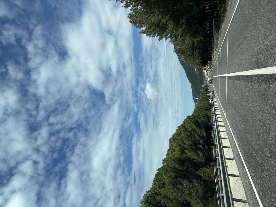 The image displays a multi-lane asphalt highway in Menteşe, Turkey, captured from the perspective of a vehicle moving forward. The sky is predominantly blue with scattered white altocumulus clouds. The road features clear white lane markings, including a solid central divider and broken lines delineating individual lanes, suggesting at least two lanes for forward travel and opposing traffic. A metal guardrail extends along the left side of the road, bordering a dense, uniform line of tall coniferous trees. A similar dense line of coniferous trees frames the right side of the road. In the midground, several passenger vehicles are visible on the highway, proceeding in both directions. Distant mountains, sparsely vegetated, rise on the horizon. Faint structures, including what appears to be a mosque minaret, are discernible against the mountains in the far distance, indicating proximity to an urban or semi-urban area. No individuals are explicitly visible.