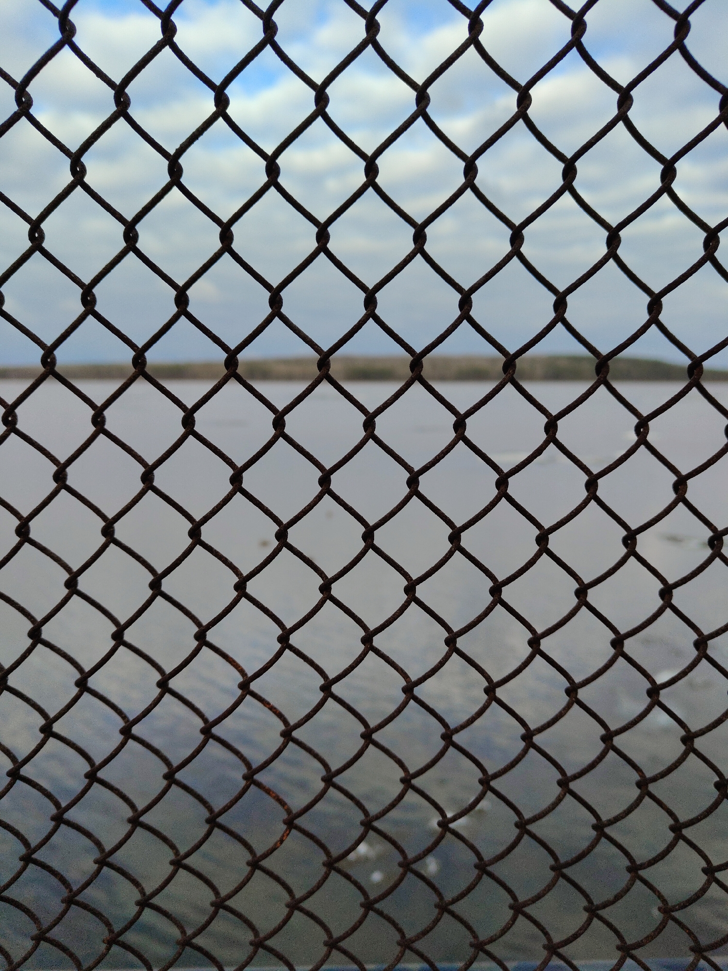 The image captures a close-up, eye-level perspective through a rusty chain-link fence, which is sharply in focus and dominates the entire foreground. The fence wires form a repeating diamond pattern, exhibiting a warm, reddish-brown color due to rust.
Behind the fence, the background is softly blurred, creating a shallow depth of field that emphasizes the fence itself. The top portion of the background shows a pale blue sky with scattered white, wispy clouds. Below the sky, approximately in the middle third of the image, lies a large, calm body of water, likely a lake or wide river, appearing in muted grey tones with subtle ripples or reflections. A faint, dark, indistinct line separates the water from what appears to be distant land or a shoreline, visible as a dark, blurred strip across the horizon.
The scene is an outdoor, static landscape. The time of day appears to be daytime, under partly cloudy or overcast weather conditions, suggested by the soft light and cloud cover. There are no people or animals visible, and no specific event or activity is taking place. The fence acts as a visual barrier between the viewer and the serene, distant natural elements. No text is present in the image. The overall mood is contemplative, with the foreground barrier contrasting with the open, albeit muted, background.