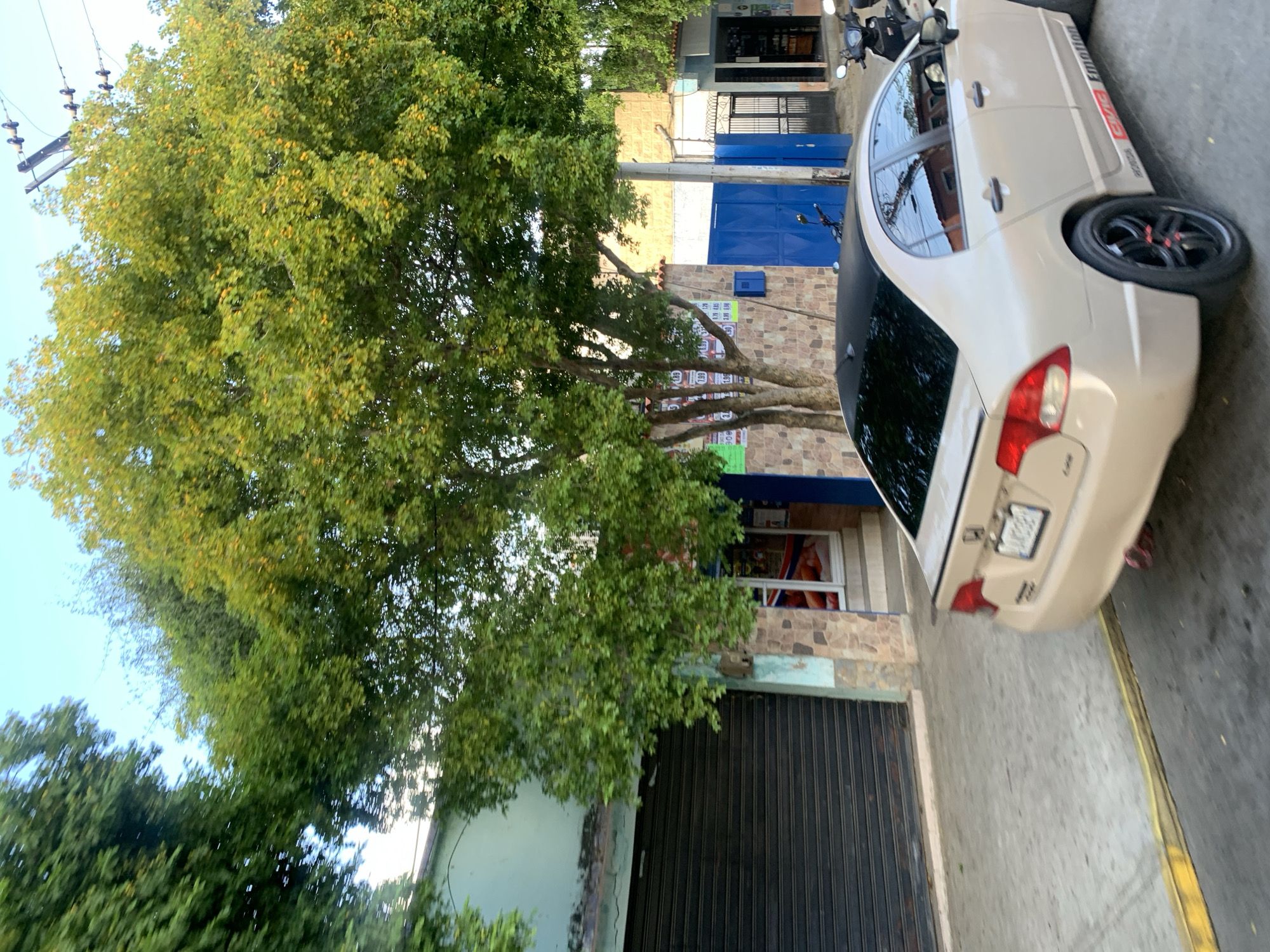 The image depicts a street scene in La Asunción, Venezuela. A beige Honda Civic sedan with a black roof and red accents on the side is parked on the street. The car is angled towards the right side of the frame, with its rear bumper and taillights visible. Behind the car, there is a building with a dark rolling metal shutter on the left and a storefront with a display window on the right. The storefront displays what appear to be food items. Further down the street, there are blue double doors and a metal gate. Trees with green foliage are prominent in the foreground and mid-ground, with some yellowing leaves indicating a possible change of season. Power lines and poles are visible in the upper right quadrant of the image. The street itself has a yellow curb. A motorcycle is parked in front of the blue doors. The sky is clear and blue.