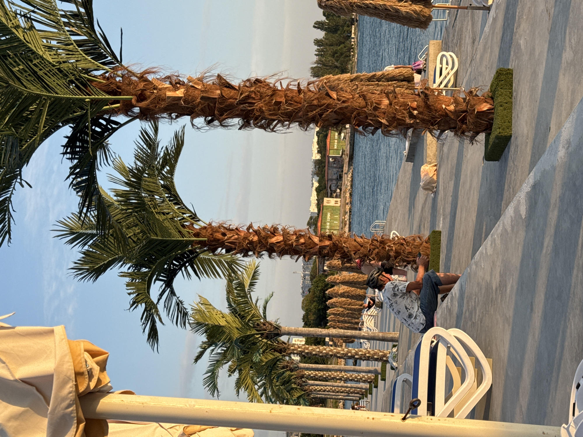 The image depicts a scenic waterfront promenade, likely in Sevastopol, Ukraine, bathed in the warm glow of late afternoon sun. A row of mature palm trees lines the concrete walkway, their fronds casting gentle shadows. In the foreground, a man wearing a patterned shirt, denim shorts, and a cycling helmet is seated on the edge of the promenade, looking down at his mobile phone. Next to him are several empty, white, molded plastic lounge chairs. The calm, blue water of the bay stretches out beyond the walkway, with a distant shoreline dotted with buildings and trees. Several thatched umbrellas and more lounge chairs are visible further down the promenade, suggesting a recreational area. The overall atmosphere is one of relaxed leisure.