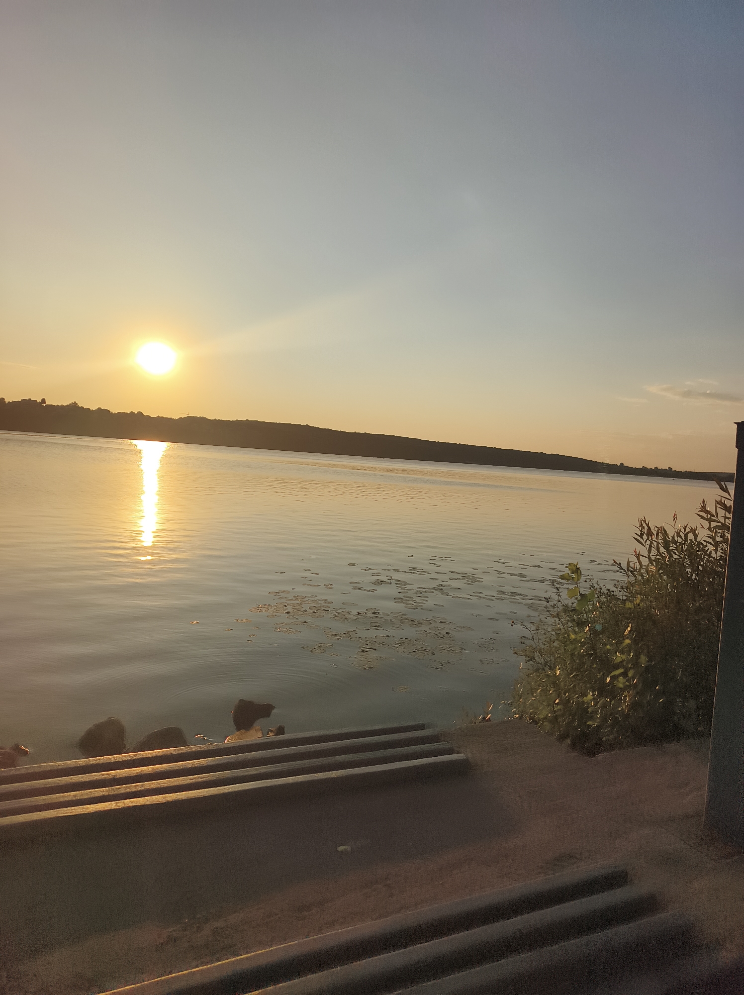 The image depicts a serene lake at sunset, with the sun low on the horizon casting a golden glow on the water. The sky transitions from a pale yellow near the sun to a light blue overhead. A silhouetted tree line forms the distant shore, with a few scattered buildings visible atop the ridge. The foreground features a concrete structure with ribbed surfaces, possibly steps or a dock, leading down to the water's edge. Some rocks are visible partially submerged near the shore, and patches of aquatic plants dot the lake's surface. The overall atmosphere is tranquil and peaceful, suggesting a natural setting. There are no people visible in the image. This scene is not specific to Ternopil, Ukraine, and could be found in many locations with lakes and natural landscapes.