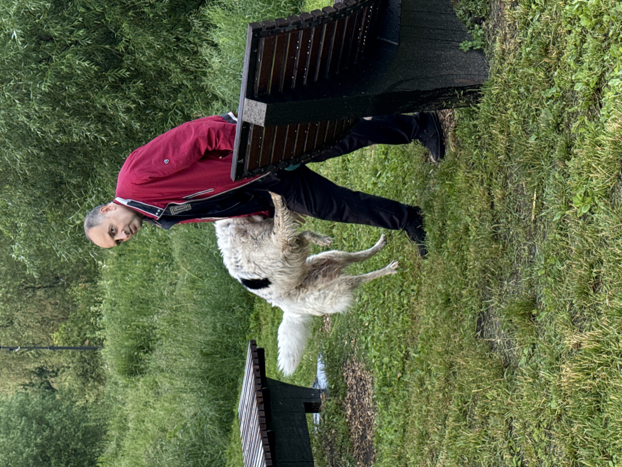 In a park setting, likely in Moscow, Russia, a man wearing a red jacket and black pants is interacting with a large, shaggy white and black dog. The man is standing and looking towards the camera with a neutral expression. The dog is mid-air, appearing to be jumping or playing, with its body contorted. Two park benches are visible in the background; one on the left is made of wooden slats and a dark green structure, and another on the right is dark wood with a dark grey stone base. The ground is covered in green grass, with some bare patches and scattered debris. The background consists of lush green trees and foliage, suggesting a natural or semi-natural outdoor environment. The lighting appears to be overcast, consistent with a cloudy day.