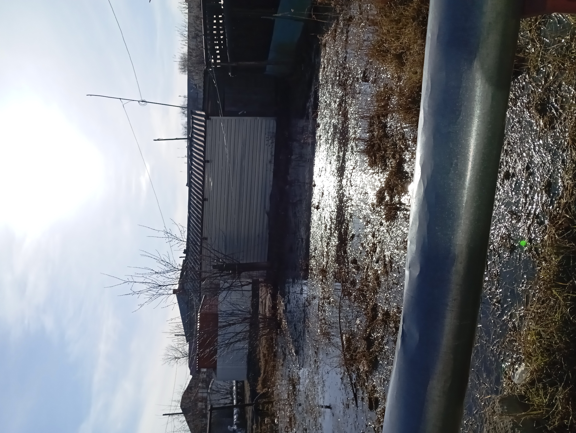 The image shows an area in Yurgamysh, Russia, apparently flooded. The water reflects the sunlight, creating a shimmering effect. Vegetation protrudes from the water. In the background, there are buildings, including a structure with light-colored siding. Overhead wires are visible against the sky. A dark-colored pipe or pole dominates the foreground.