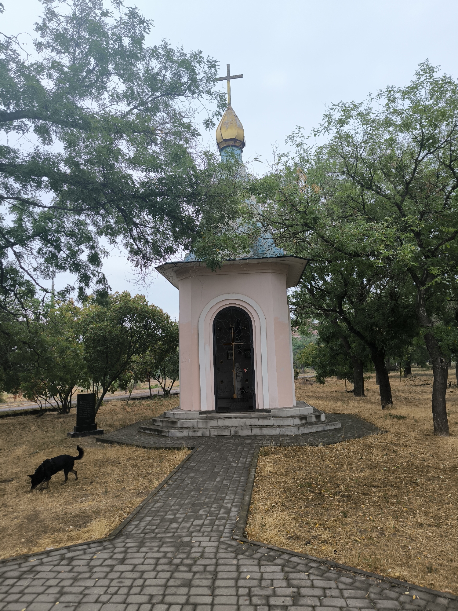 The image shows a small pink chapel with a golden dome and a cross on top, situated in a park-like setting with dry grass and trees. A black dog is seen walking on the grass to the left of the chapel. There is a paved walkway leading up to the chapel's entrance, which is a dark metal gate with a cross design. In the background, there are more trees and some dry foliage. A dark, upright monument is visible behind the dog. The sky is overcast. This chapel is located in the city of Mykolaiv, Ukraine, and is known as the Chapel of the Mother of God of Pochaev.