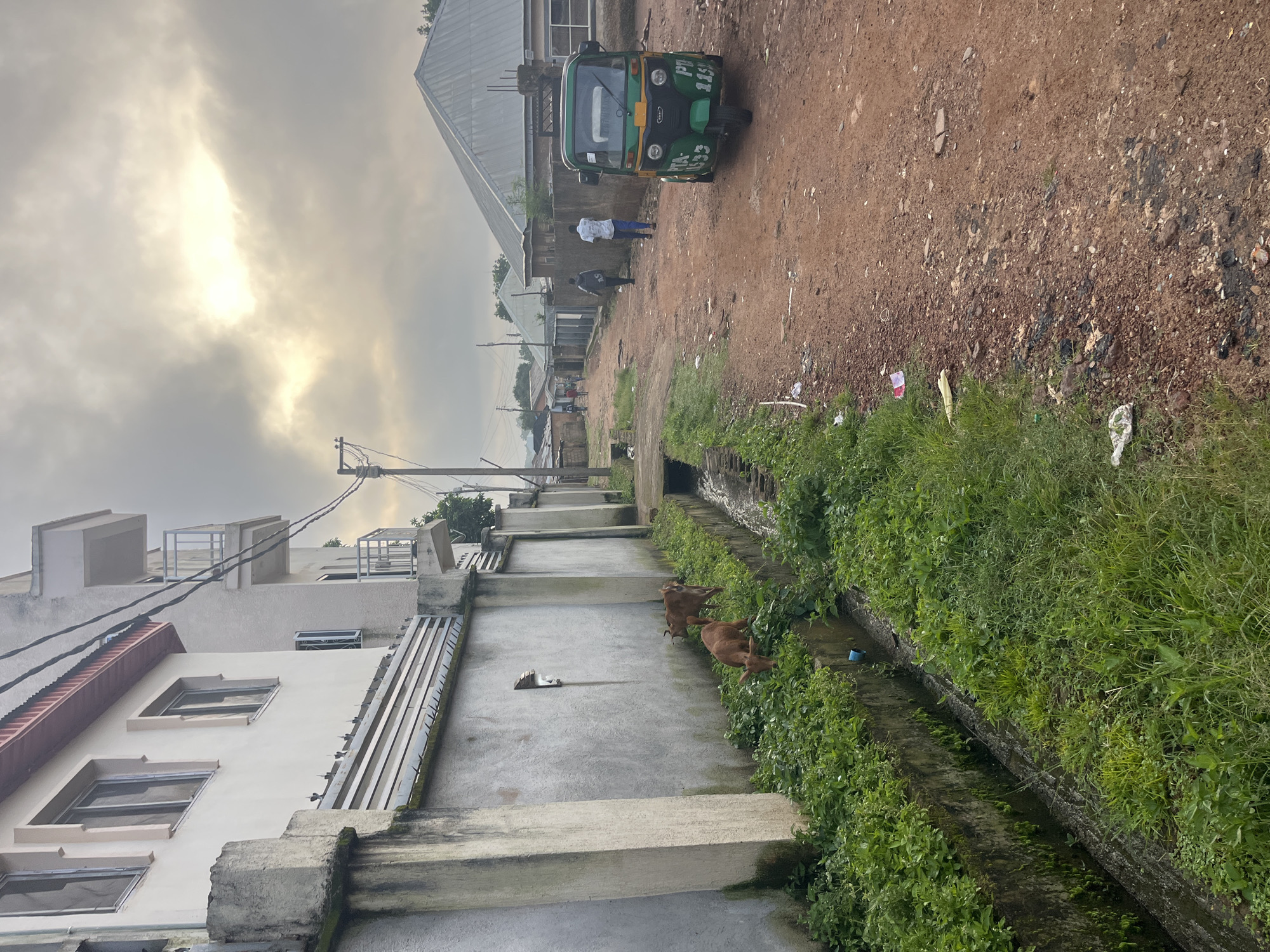The image depicts a rural or semi-urban street scene in Jos, Nigeria, under an overcast sky. In the foreground, two brown goats are grazing on lush green grass growing in and around a concrete drainage ditch that runs along a light-colored, textured wall. The wall is part of a multi-story building with several windows and balconies visible. Further down the dirt road, a green and yellow auto-rickshaw, a common mode of transport in Nigeria, is parked. Several people are walking on the road in the distance. The environment appears somewhat untidy, with some litter visible on the ground. The architecture suggests a developing urban area, characteristic of parts of Jos.