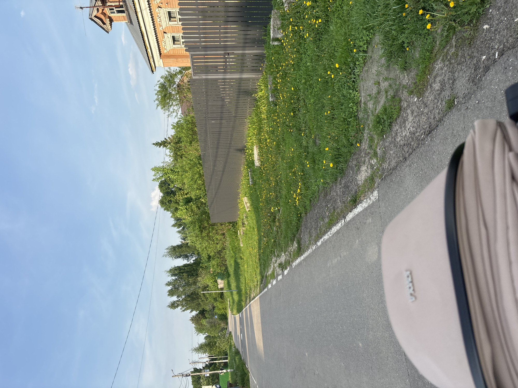 The image presents a street view in what appears to be a rural or suburban area of Мещёры, Russia. The location is suggested by the architecture of the building, a wooden house with elaborate detailing, visible behind a dark wooden fence. A paved road, marked with a white line on the edge, runs through the scene. The foreground includes a portion of a vehicle, possibly a bicycle basket. The roadside is covered in green grass dotted with yellow dandelions. Trees line the street, and utility poles with power lines can be seen in the distance. The sky is blue with light clouds. There are no people visible in the image.