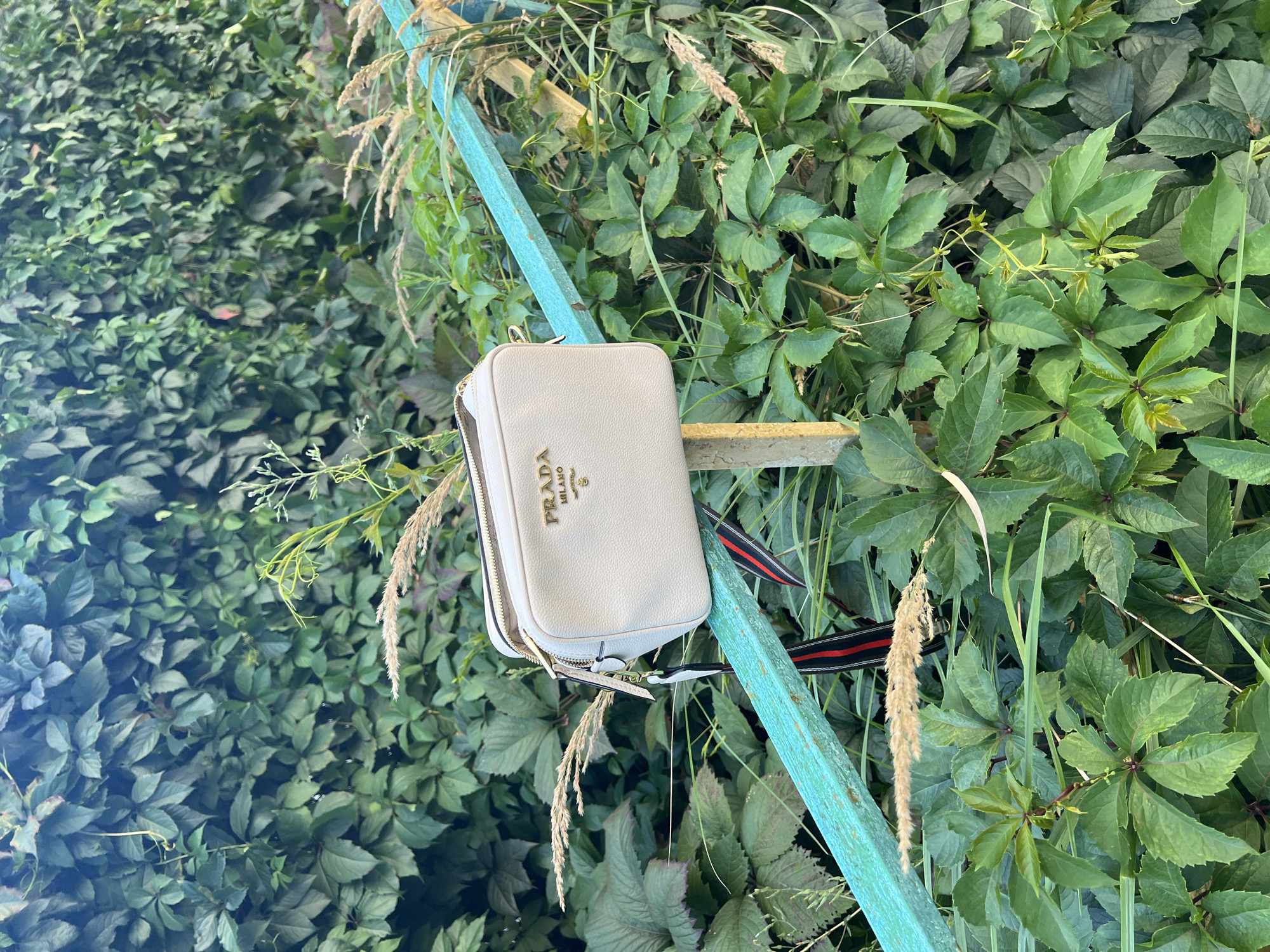 A white Prada handbag with gold lettering is resting on a turquoise-painted metal railing. The railing is situated outdoors amidst lush green foliage, likely a hedge or ivy-covered wall. The handbag features a zippered top and a strap with red and black stripes. The background is filled with various green leaves and some dried grasses. The scene appears to be a candid shot, possibly taken in the city of Khimki, Russia, given the context. No people are visible in the image, and no specific actions are depicted other than the bag being placed on the railing.