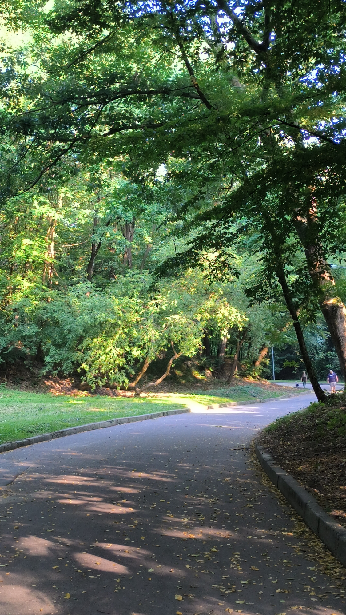 The image depicts a paved pathway curving through a park with dense, green foliage. Sunlight filters through the trees, casting dappled shadows on the path and the surrounding grass. A few small yellow leaves are scattered on the pavement. In the distance, two individuals are walking, one with a dog on a leash. The park appears to be a tranquil, natural setting within a city. This scene is characteristic of Stryiskyi Park in Lviv, Ukraine, known for its mature trees and winding paths.