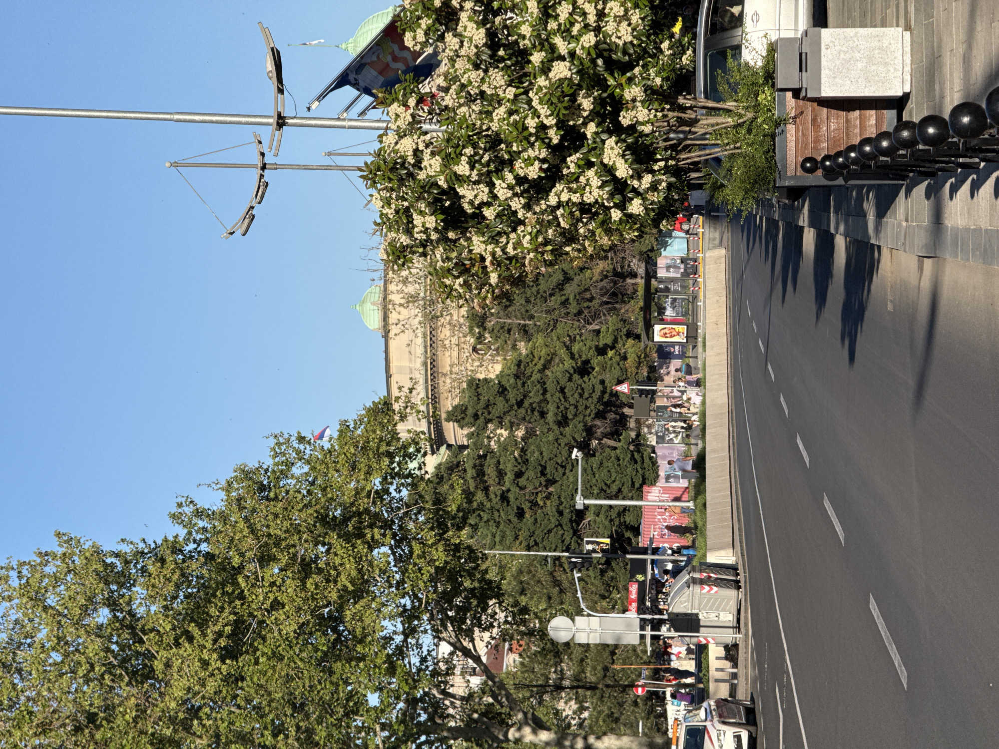 This is an outdoor, daytime shot taken in Belgrade, Serbia, likely along a street. The scene is dominated by a road running lengthwise through the image with intermittent white lane markings. A sidewalk runs adjacent to the road's right side, bordered by a line of black bollards. Buildings with green domes and a flag are visible in the background beyond the trees lining the street. Street lights are present. People are not clearly discernible. A banner or advertising display lines the other side of the street. Vehicles are present on the road. The sky is clear and blue. A flowering tree is visible on the left side.