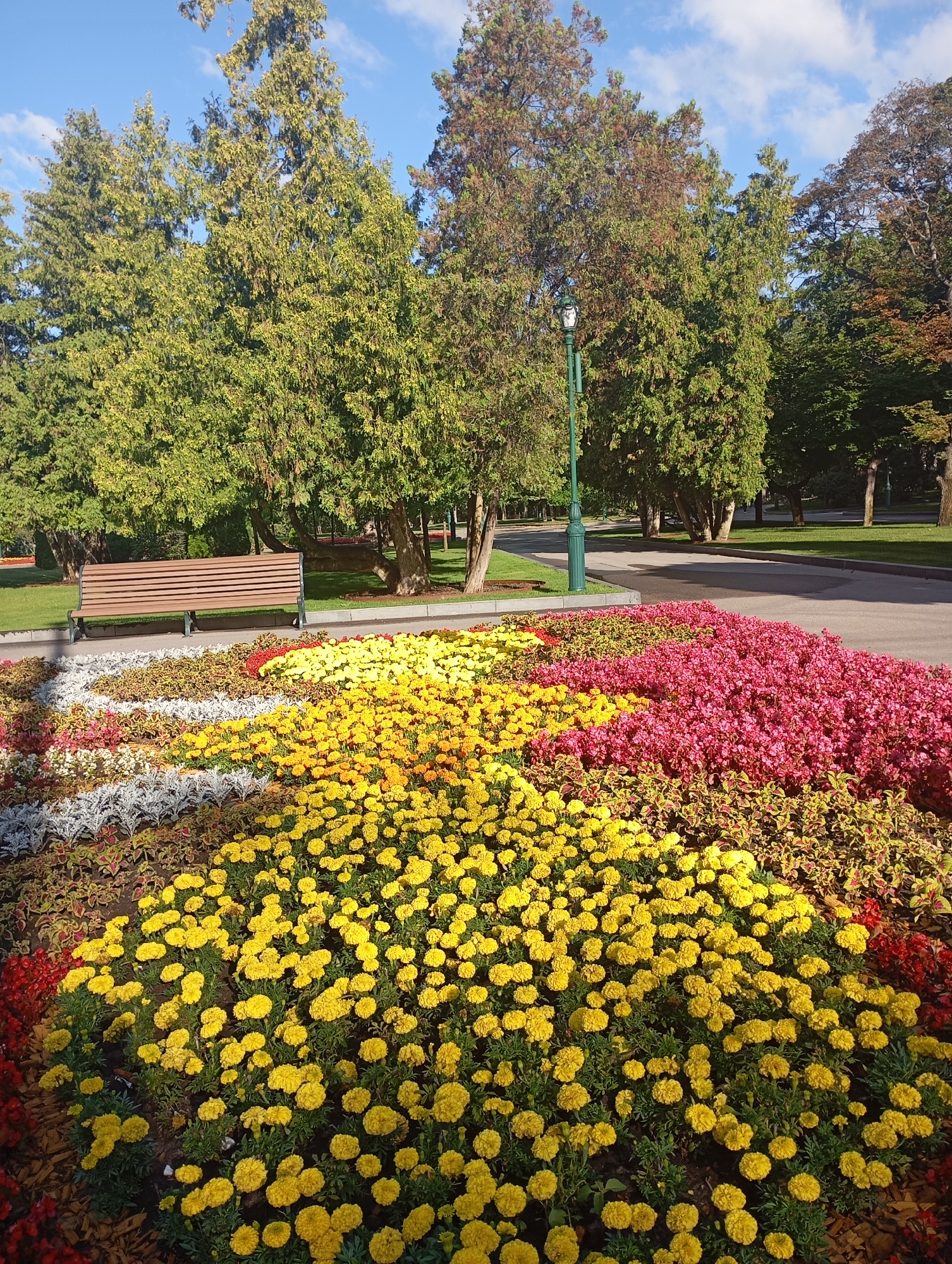 The image depicts a well-maintained park in Kharkiv, Ukraine, on a sunny day with a bright blue sky dotted with fluffy white clouds. In the foreground, a vibrant flowerbed displays a variety of blooming plants. The dominant colors are bright yellow marigolds, a large bed of pink impatiens, and smaller sections of red and white foliage plants, arranged in curved patterns. Behind the flowerbed, a wooden park bench sits on a manicured lawn. Mature trees with dense green foliage form a backdrop, with some showing hints of autumn color. A lamppost with a decorative lantern stands near the flowerbed. A paved pathway curves through the park, suggesting a public space designed for recreation. There are no people visible in the image. The overall impression is one of natural beauty and peaceful serenity within an urban park setting.