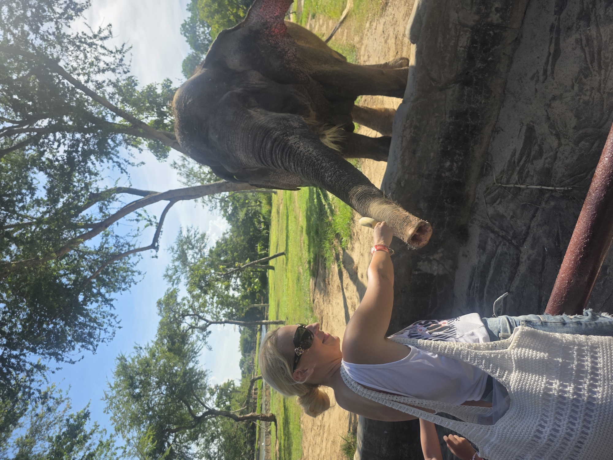The image shows a woman interacting with an elephant in what appears to be an outdoor enclosure. The woman has blonde hair pulled back in a low ponytail, sunglasses, and is wearing a white tank top, a white knit bag, and denim shorts. She is reaching her hand toward the elephant's trunk. The elephant is large and dark gray, with a long trunk that extends toward the woman. The background includes green grass, trees, and a bright blue sky with scattered clouds. The enclosure seems to be bordered by a stone-like wall. There is no indication that the image was taken in Đà Nẵng, Vietnam.