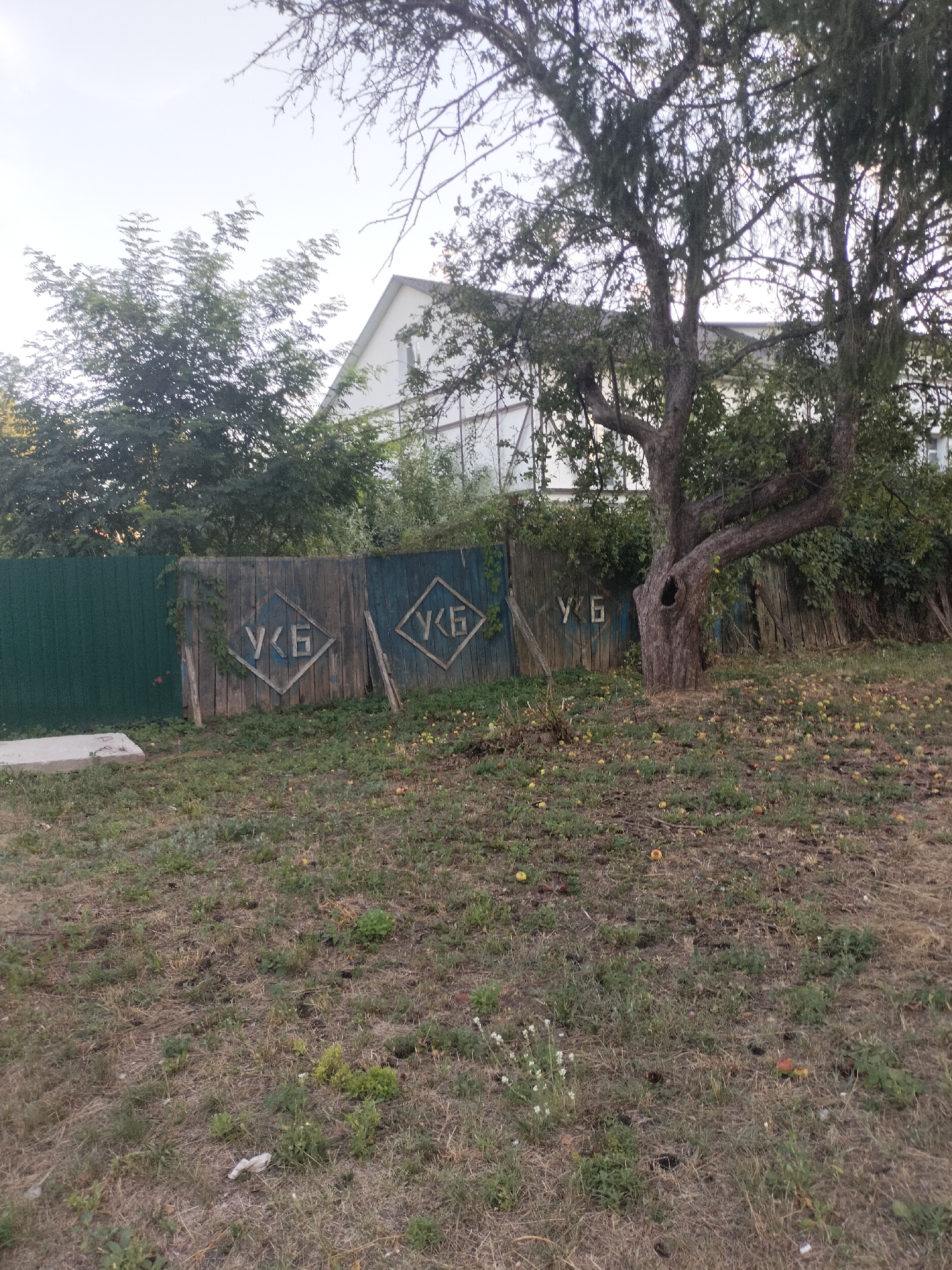 The image depicts an outdoor scene featuring a wooden fence with two diamond-shaped insignias containing Cyrillic letters. The fence is weathered and painted in alternating blue and brown sections. To the left of the wooden fence is a green metal fence. Behind the fence, a building with a white facade and a sloped roof is visible, partially obscured by trees and foliage. A large tree with bare branches and a thick trunk stands in the foreground on the right side of the image, with fallen apples scattered on the grass beneath it. The ground is covered in dry grass, weeds, and some scattered debris. The sky is overcast. The location is identified as Chernihiv, Ukraine.
