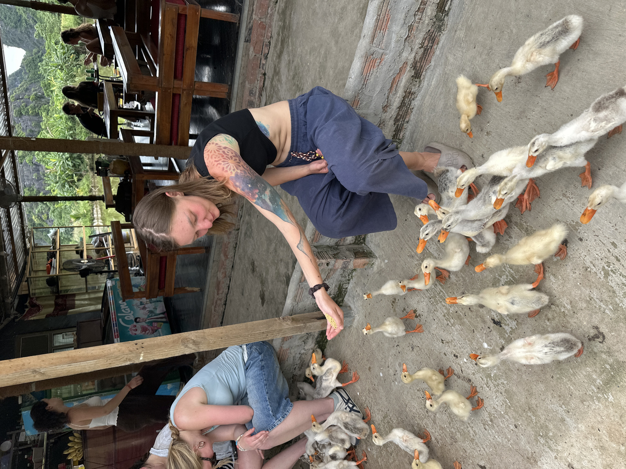 In the city of Nam Hoa Lư Ward, Vietnam, a young woman with colorful tattoos on her arm is feeding a group of ducklings. She is wearing a black crop top and loose-fitting blue pants, and is sitting on a concrete ledge. The ducklings, a mix of white and grey, are gathered around her, eagerly pecking at the food in her hand.
The scene appears to be an outdoor cafe or restaurant, with wooden tables and benches visible in the background. Lush green foliage and mountains can be seen in the distance, suggesting a scenic location. The overall atmosphere is peaceful and engaging, with the woman's gentle interaction with the animals creating a heartwarming moment.