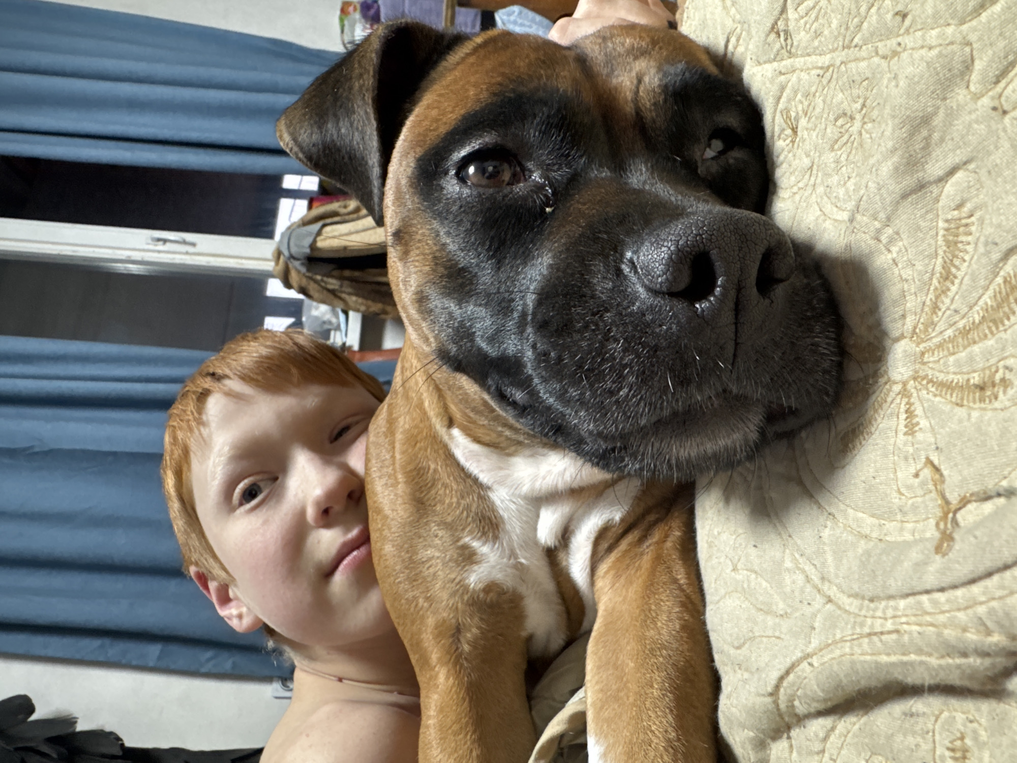 A close-up indoor shot features a young fair-skinned boy with short red hair, nestled next to a brown and black Boxer dog. The boy's face is partially visible, his cheek pressed against the dog. The dog's head is prominently displayed, with a large, black nose and soulful brown eyes. The dog appears to be resting its head on a cushion. A window with blue curtains is visible in the background. Other items are piled behind the dog. There is no verifiable information indicating the location is Chaikovsky, Russia.