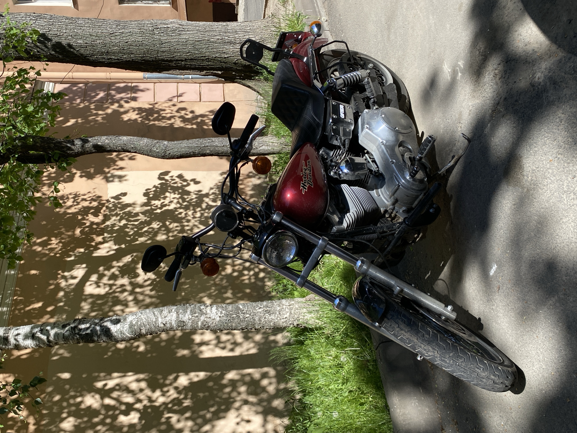 A red and chrome Harley Davidson motorcycle is parked outdoors on a bright, sunny day. The motorcycle rests on an asphalt surface, with a strip of vibrant green grass adjacent to it. Behind the grass, several tree trunks stretch horizontally across the frame, some with rough, dark bark and others with lighter, possibly birch-like bark, and visible green foliage. Further in the background is a light brown building facade, featuring windows and a drainpipe.
Strong sunlight casts distinct, intricate shadows of the tree leaves and branches onto both the building wall and the paved ground, indicating clear skies. The motorcycle's fuel tank is a glossy, deep red or burgundy, displaying the "Harley Davidson" logo in a lighter script. Various chrome components, including the engine casing, front forks, headlight, and exhaust, gleam under the sun. A black, textured seat, handlebars with mirrors, and orange turn signals are also visible. Text "GF1DR" is present on a part of the engine. The scene suggests a calm, daytime setting, likely in an urban or suburban area such as Saint Petersburg, Russia.