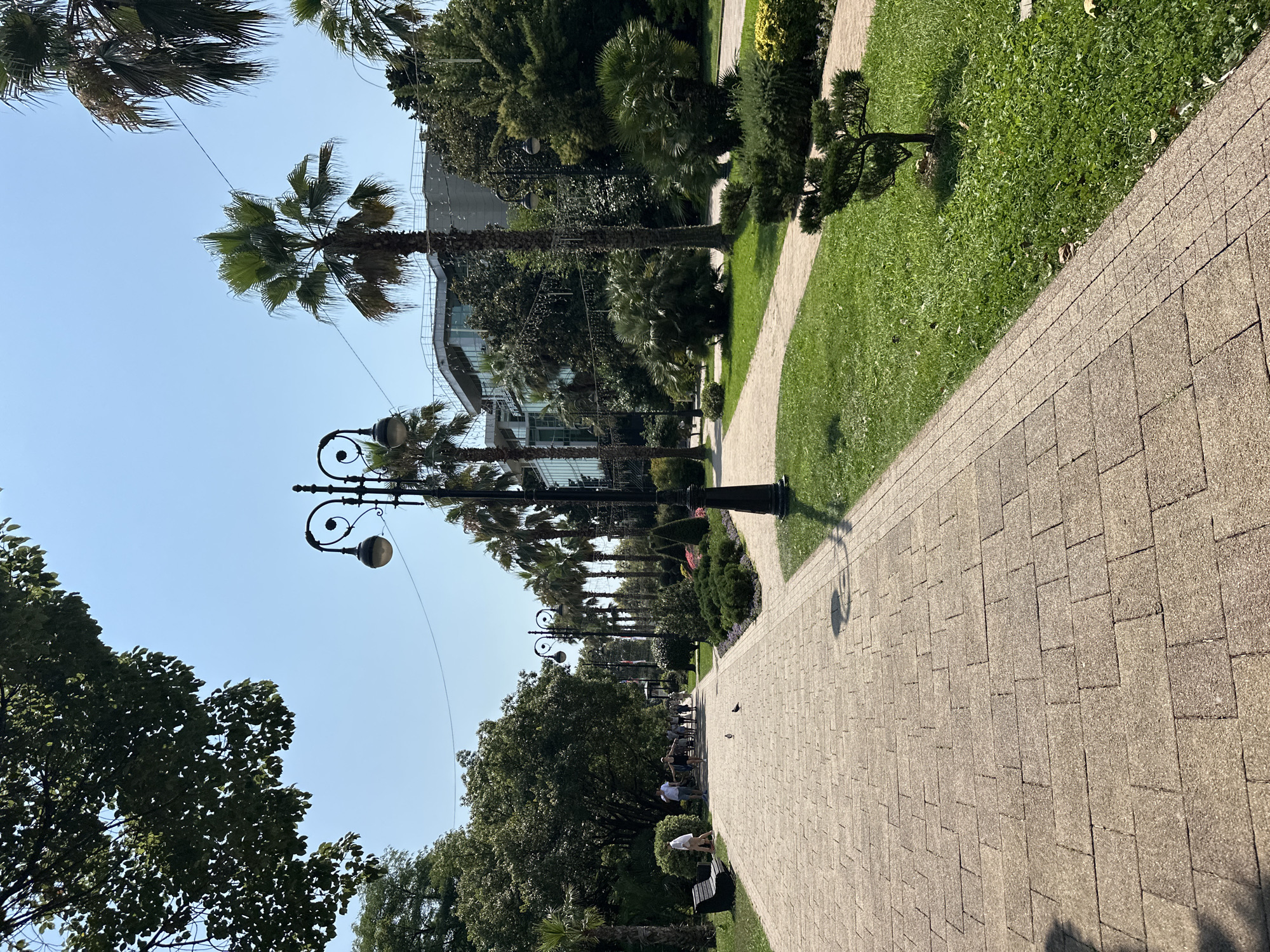 The image depicts a paved walkway lined with lush green grass, palm trees, and decorative shrubs. In the background, a modern building with glass facades is visible. Several people are walking along the path, and a bench is placed on the left side of the walkway. Two pigeons are also present on the path. The scene is illuminated by sunlight, suggesting it is daytime. This appears to be a public park or promenade, characteristic of Sochi, Russia, a city known for its subtropical climate and numerous green spaces. The overall atmosphere is serene and inviting, indicative of a well-maintained recreational area.