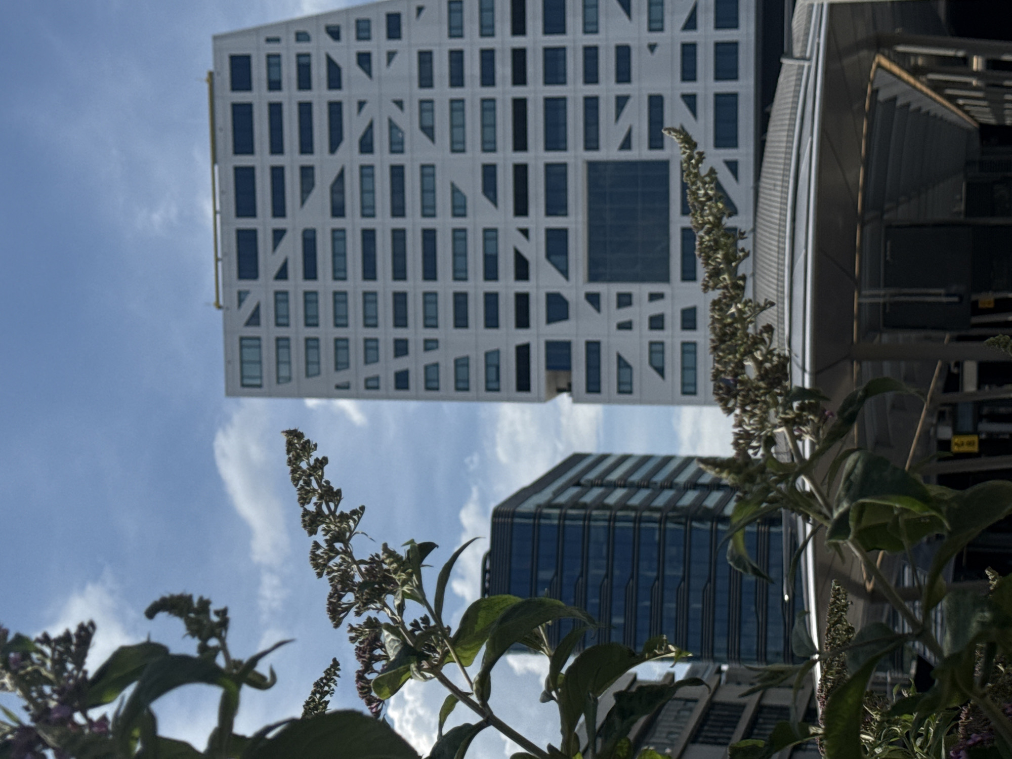 The image depicts a street-level view of modern architecture in Utrecht, Netherlands, under a partially cloudy blue sky. In the foreground, out-of-focus foliage and flower clusters frame the scene. Dominating the background is the distinctive facade of the KPN Tower, a white, geometric building with a pattern of irregularly shaped windows. To its left, a darker, glass-fronted skyscraper stands, also exhibiting a contemporary design. A curved, metallic canopy structure is visible in the midground, partially obscuring the lower sections of the buildings. The scene appears to be a public urban space, likely a plaza or transit area, given the architectural styles and the open sky. There are no people or vehicles visible in the frame.