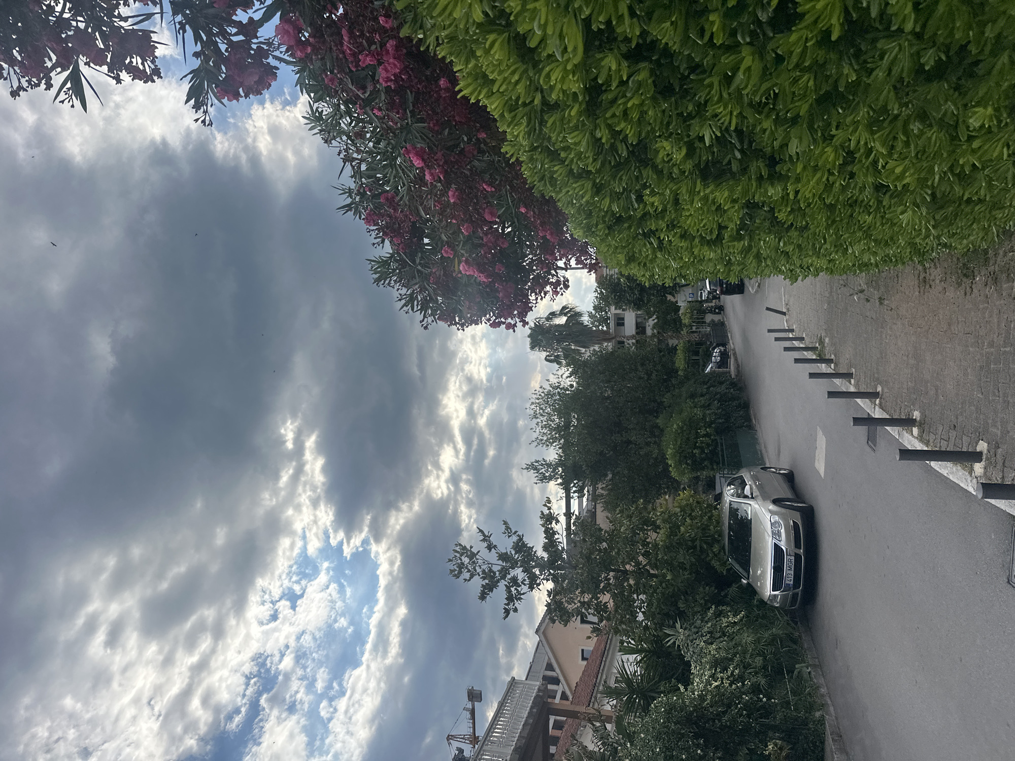 This media file captures an outdoor scene on a street, likely in Budva, Montenegro. The image is oriented vertically. The foreground is dominated by lush green foliage and a tree with vibrant pink blossoms, suggesting a warm season. Beyond this, a paved street runs alongside a line of bollards and dense greenery.
A silver sedan is parked on the right side of the street, its front bumper visible. Further down the street, more parked vehicles and buildings with terracotta roofs are partially obscured by trees. A crane, possibly under construction, is visible on the left side of the frame, hinting at ongoing development.
The sky above is a dramatic mix of dark, heavy clouds and patches of bright sunlight breaking through, indicating a dynamic and possibly changing weather pattern. A few birds are visible in the sky. The lighting suggests it could be late afternoon or early evening. No people are directly visible in the image. The visible text on the car's license plate reads "413 MGR". The overall mood is serene and natural, with a touch of urban presence.