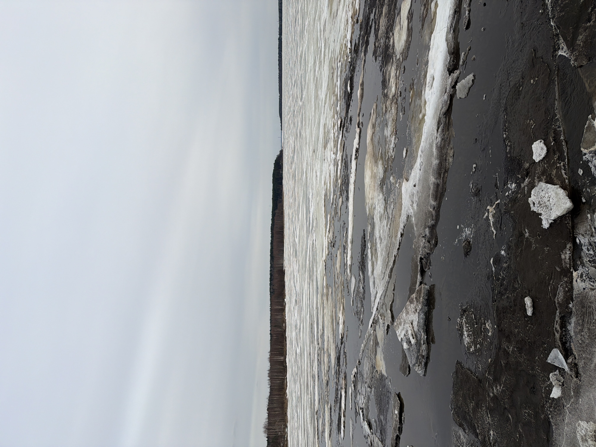 The image depicts a partially frozen lake or body of water in Izhevsk, Russia. To the right, broken ice floes float in dark water. The ice is a mix of white and grey, indicating varying degrees of purity or melting. In the distance, a line of trees marks the opposite shore, suggesting a natural setting near the city. The sky is overcast and grey, indicating a cold, possibly winter or early spring, day. No people are visible in the frame.