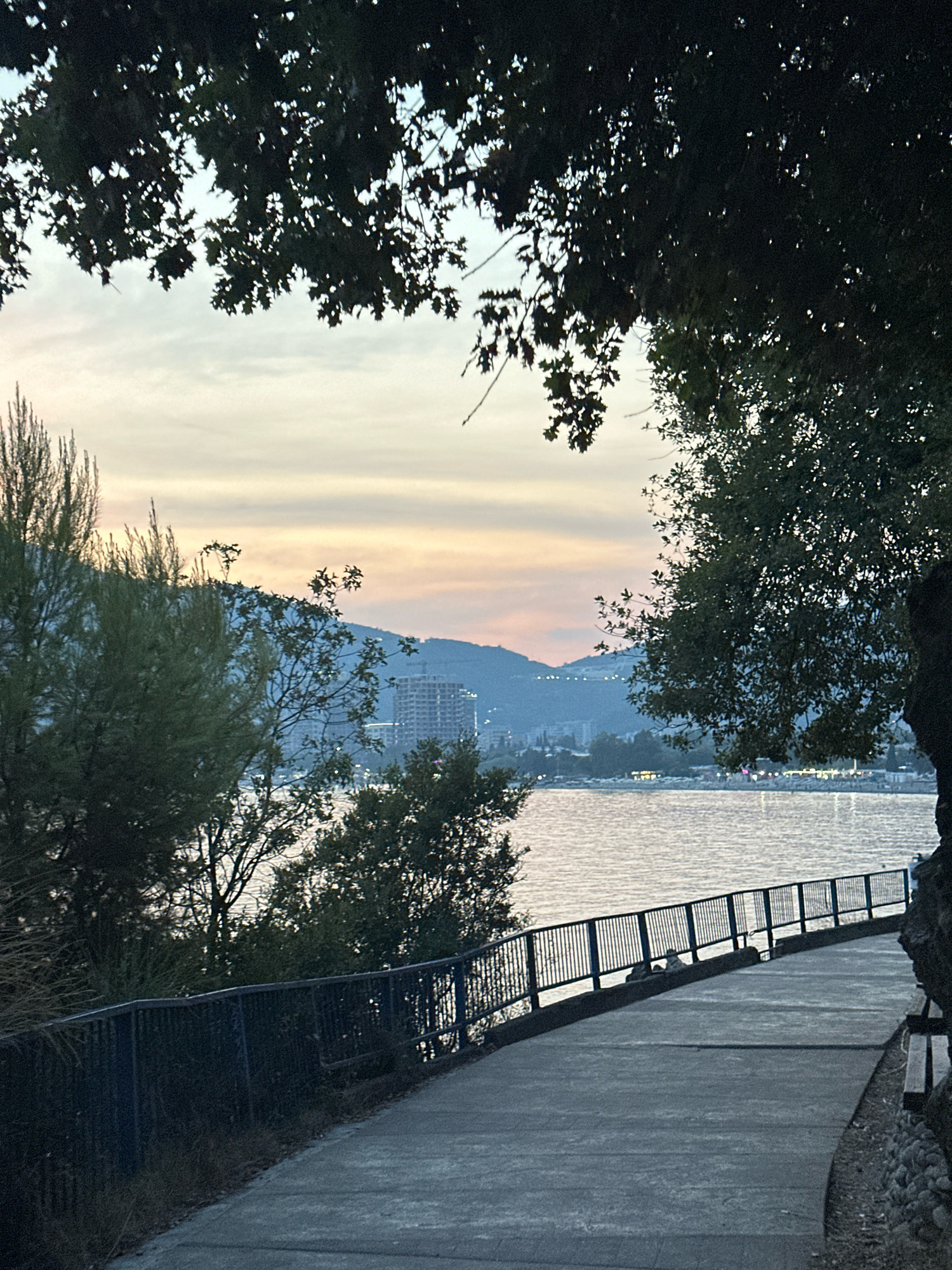 The image captures a seaside promenade in Budva, Montenegro, at dusk. The sky is painted with soft hues of pink and orange from the setting sun, with wispy clouds streaking across. In the foreground, a paved pathway curves gently, bordered by a black metal railing on the left, separating it from the calm, reflective water. Dense green foliage from trees hangs over the scene from the top and sides, framing the view. Beyond the promenade, the calm sea stretches out, reflecting the sky's colors. In the distance, the coastline of Budva is visible, with buildings and lights dotting the hillside, including a partially constructed building visible on a hill. The overall atmosphere is serene and peaceful, typical of a quiet evening by the Adriatic Sea.