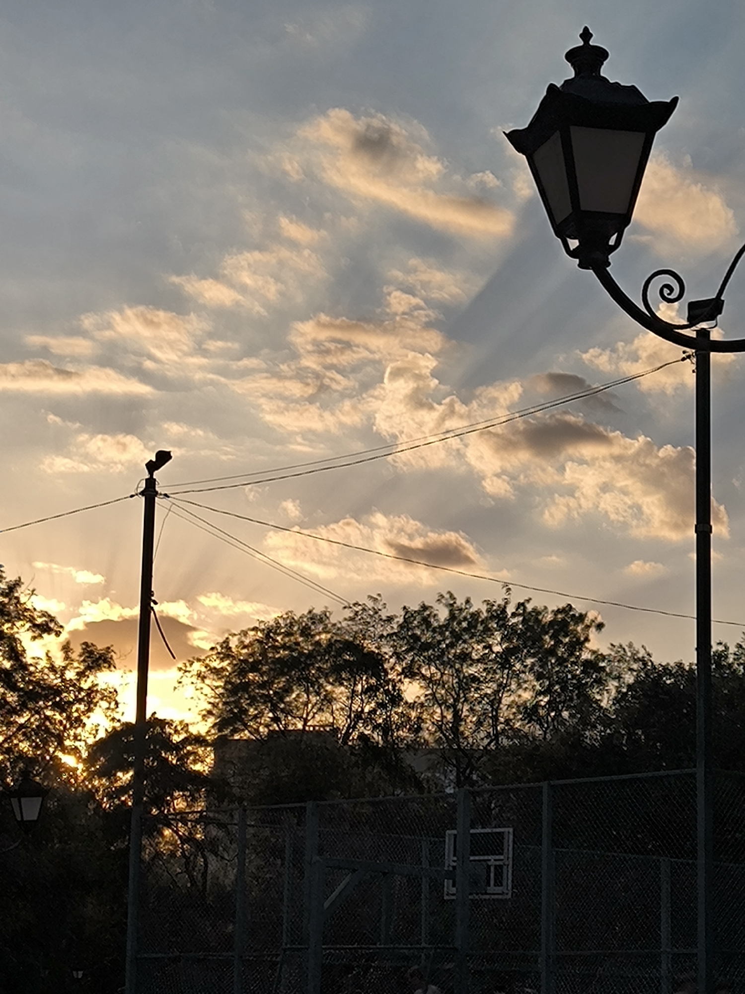 The image captures a dusky sky over a city park in Mykolaiv, Ukraine. A decorative lamppost stands prominently in the foreground, silhouetted against the warm hues of the setting sun, which casts dramatic sunbeams through scattered clouds. In the middle ground, a utility pole with attached wires is visible, also silhouetted. Behind it, a line of dark trees forms a dense canopy, with the bright sunset peeking through the foliage. Further back, a chain-link fence encloses a basketball court, with a backboard visible within. The scene is devoid of any explicit human activity, presenting a quiet, atmospheric portrayal of an urban outdoor space at dusk.