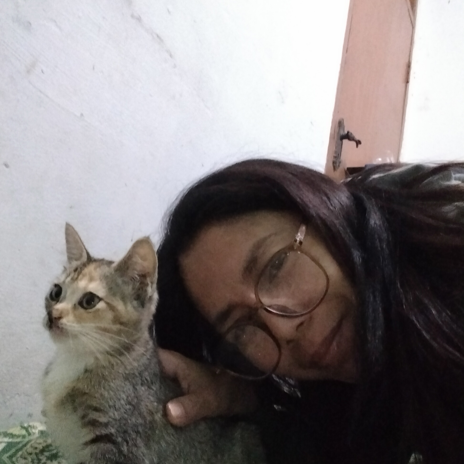 A selfie shows a woman with dark hair and glasses resting her head on a small, tabby kitten. The kitten is looking to the left, with its ears perked. The background is a plain white wall, and a light brown door is visible on the right side of the image, with a metal door handle. A patterned green and white mat is under the kitten. The overall lighting is dim, suggesting it may be indoors. The scene appears to be in Cisaat, Indonesia, based on the provided context.