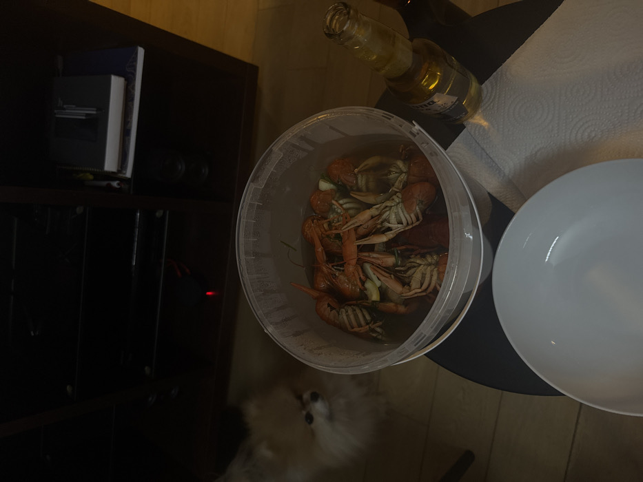 A bucket filled with crawfish and garlic sits on a round, black table. Beside it are a white plate, a paper towel, and a Corona beer bottle. A dark wooden shelf stands near the table, holding books and other items. A small, fluffy white dog peeks into the frame from below the bucket. The scene is dimly lit with warm tones.