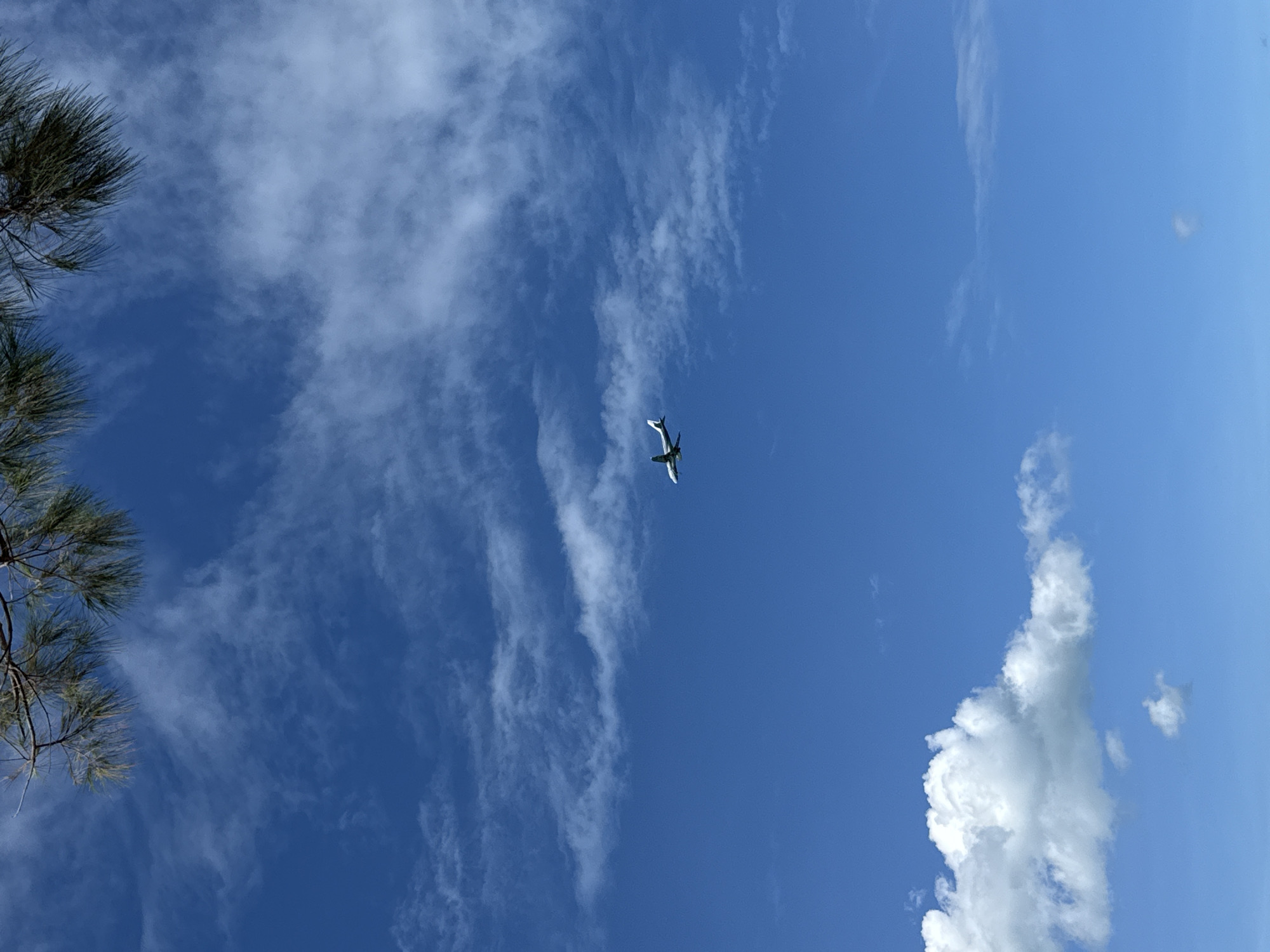 The image shows a clear blue sky with scattered white clouds. In the middle right of the frame, a small white airplane is visible in flight. At the top of the image, the green branches of a tree hang down, partially obscuring the sky. The image is taken from a low angle, looking up at the sky. The setting appears to be a tropical location, possibly near Baan Chaweng Noi, Thailand, given the presence of palm-like tree branches and the general ambiance. There are no people visible in the image.
