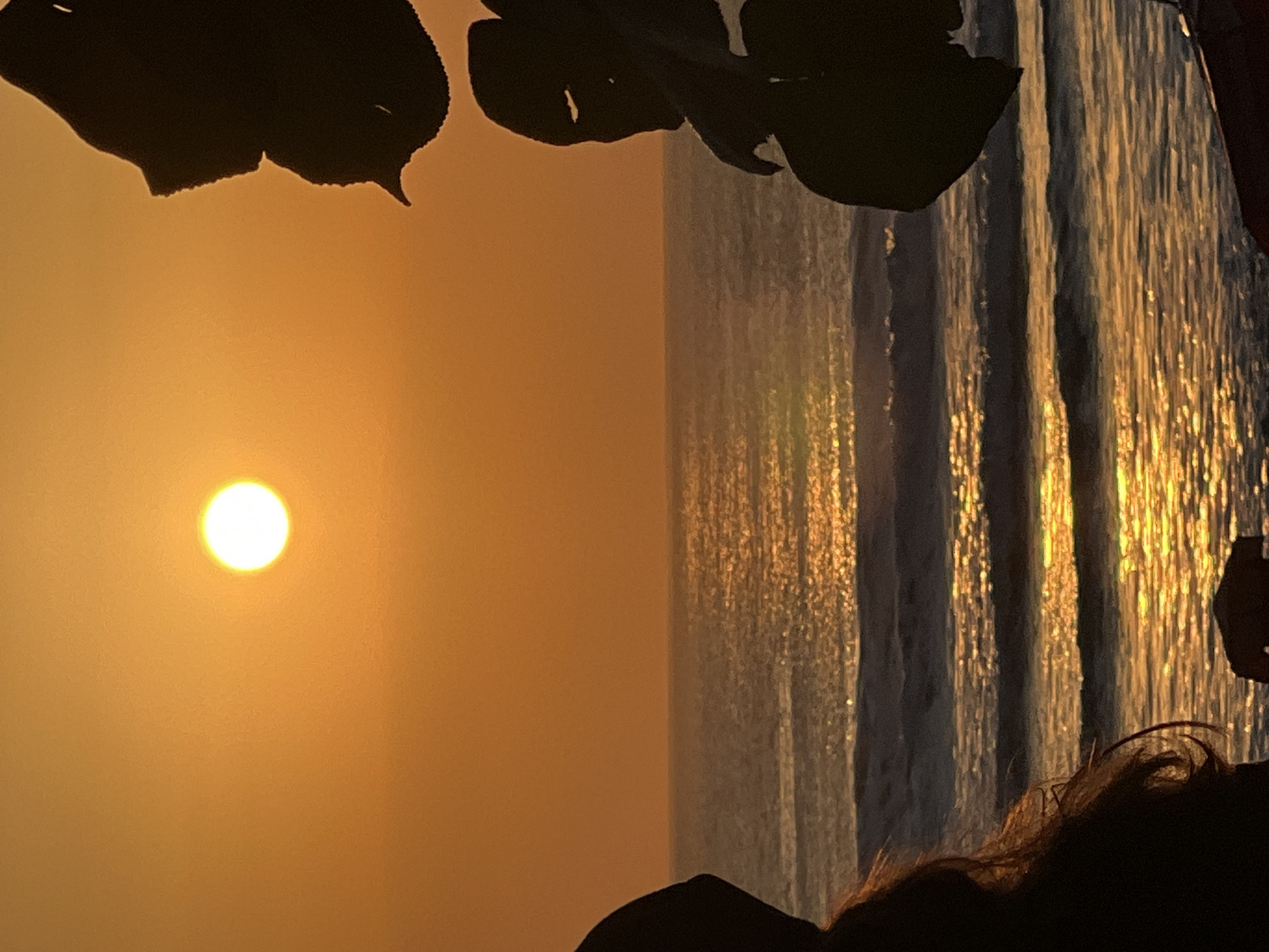 A close-up shot captures the sun setting over the ocean, casting a warm orange glow across the sky and water. The sun, a bright orb, is positioned in the upper left quadrant of the frame. Silhouetted leaves frame the right side of the image, and a person's head and hair are visible in the lower left. The ocean's surface reflects the sunlight in shimmering streaks. This scene is typical of the beaches in Kuta, Bali, Indonesia, known for its stunning sunsets.