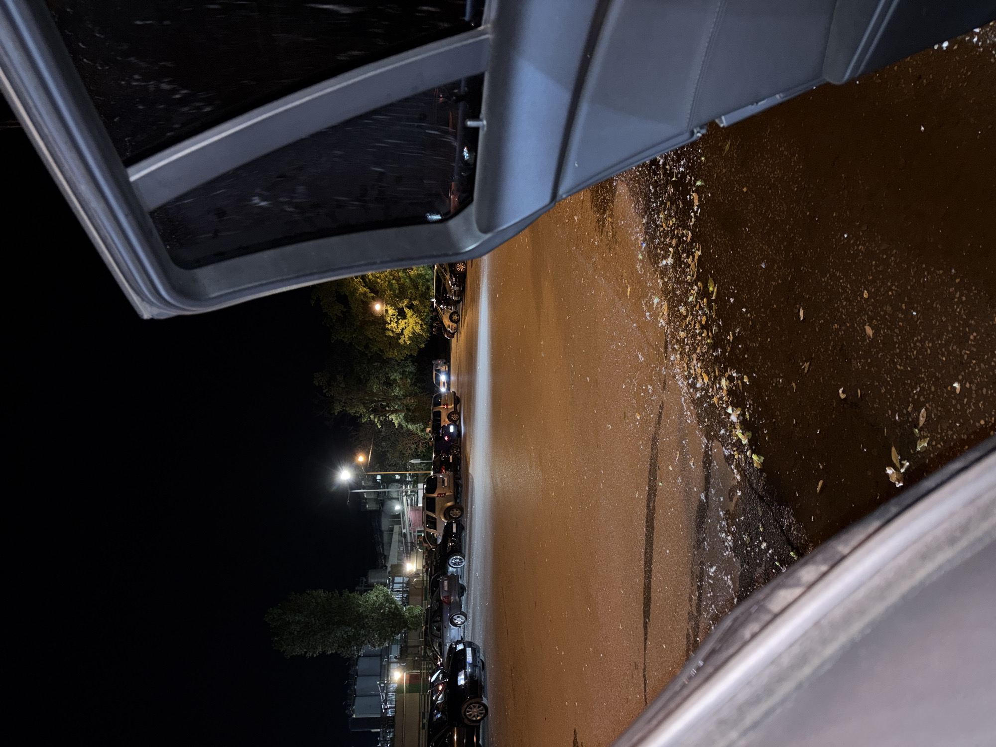 The image depicts a street scene at night, viewed from inside a vehicle with its door open. The street is lined with parked cars, illuminated by streetlights. Trees are visible along the street. The road surface appears wet. The location is Stara Zagora, Bulgaria.