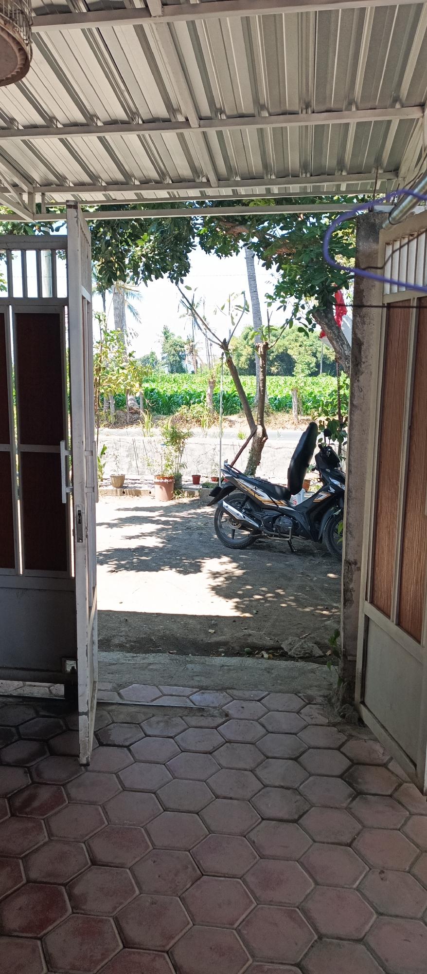 The image shows an outdoor scene in Jatisari, Indonesia, viewed from beneath a metal awning. In the foreground, a hexagonal paved walkway is visible. To the left, a section of an open gate with brown panels is present. To the right, a wooden door is partially open.
In the middle ground, a dark-colored motorcycle with gold accents is parked on a dirt and gravel surface. Behind the motorcycle, several potted plants are arranged. The background reveals a lush green field, possibly a cultivated crop, with trees and vegetation beyond. The sky is bright and appears to be daytime, with sunlight casting shadows on the ground. The overall environment suggests a residential or rural setting in Jatisari.