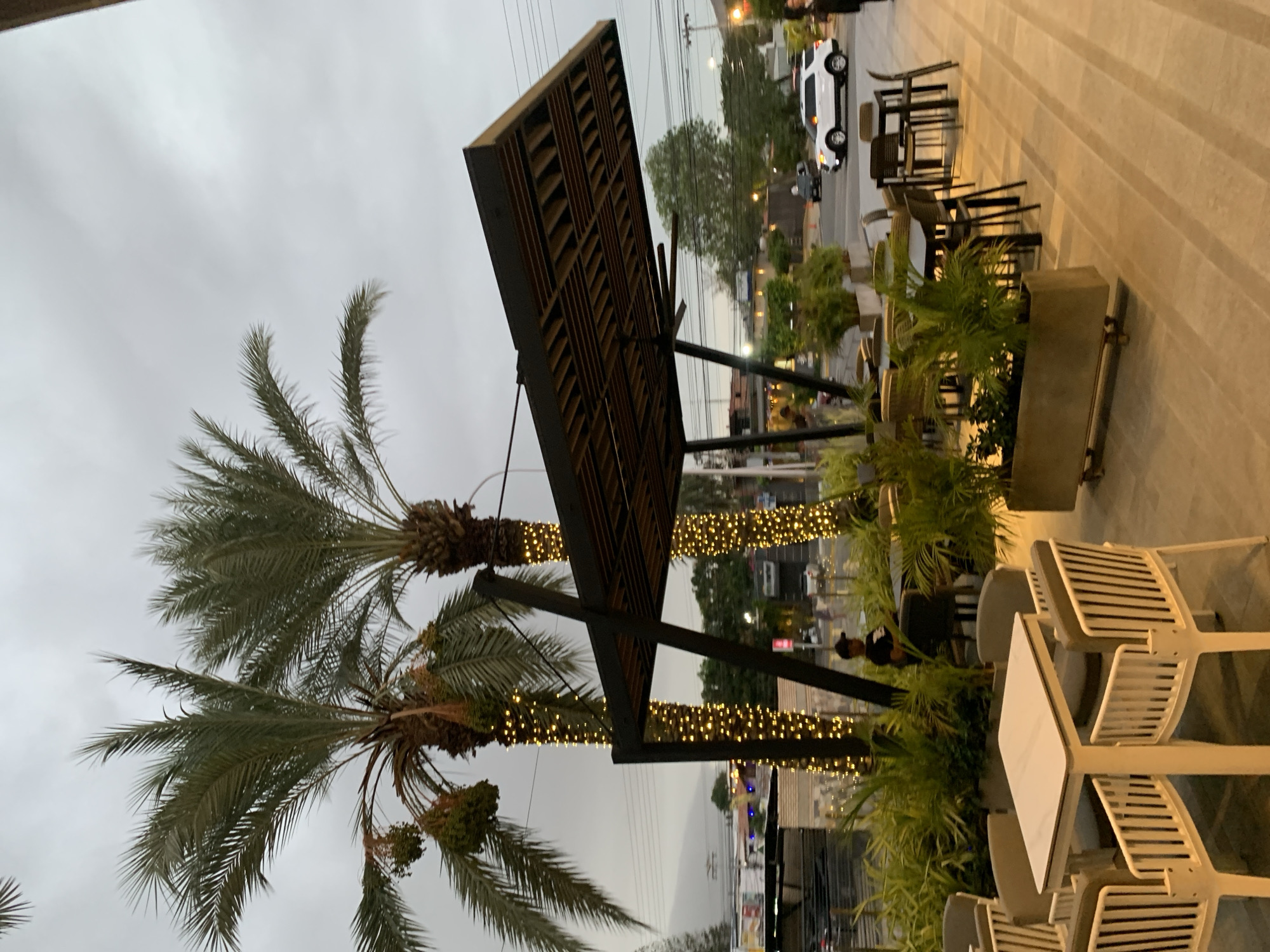 This image captures an outdoor seating area, likely for a restaurant or cafe, located in Pampatar, Venezuela. The scene appears to be set at dusk or early evening, indicated by the overcast sky and the illumination of various artificial lights.
The foreground and mid-ground feature a paved patio furnished with several white and dark-colored outdoor tables and chairs, many with a slatted design, arranged as if awaiting patrons. Planters overflowing with green foliage and potted plants are strategically placed, enhancing the tropical ambiance. Two large palm trees dominate the left side of the frame, their trunks intricately wrapped with warm, glowing string lights, creating a festive atmosphere.
A large, dark-colored wooden structure with a slatted design, possibly a decorative sign or part of an overhead trellis, spans across the upper middle section of the image, supported by dark metal beams.
In the background, a street is visible, with a white SUV and another vehicle parked or driving. Streetlights are illuminated, and indistinct buildings line the thoroughfare. One person, wearing a dark shirt and a cap, is partially visible in the middle-ground, standing near some of the patio plants. The overall impression is a peaceful, inviting outdoor dining or socializing area in a warm, urban setting. No discernible text is visible in the image.