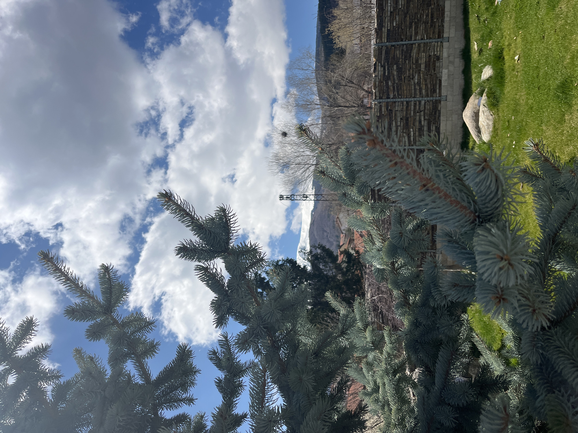 The image shows a landscape with a focus on a blue spruce tree in the foreground. Behind the tree, there is a wooden fence, some grass, and rocks. In the background, there is a mountain with a partially snow-covered peak, as well as a blue sky with white clouds. The location is not explicitly stated and is thus listed as Unknown, Unknown.