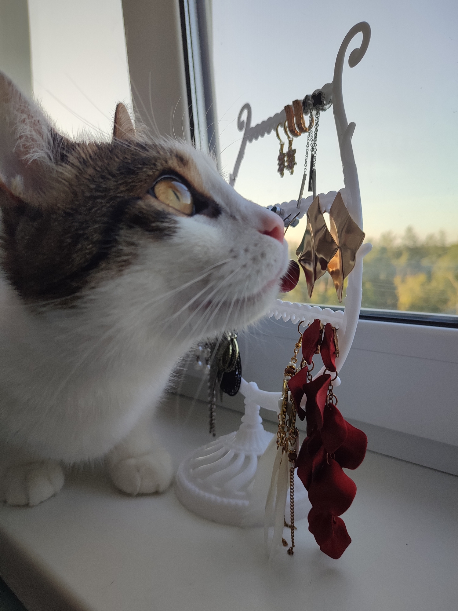 A close-up shot captures a white and tabby cat with striking amber eyes on a windowsill, its gaze fixed on a white jewelry stand displaying various earrings. The cat's whiskers are prominent, and its pink nose is visible. The jewelry stand features several pairs of earrings, including gold geometric shapes, a pair of red petal-shaped earrings, and silver chains. The background shows a blurred view of trees and sky, suggesting an outdoor scene beyond the window. The lighting indicates it is either sunrise or sunset, casting a warm glow on the cat and the earrings. This scene is set on a windowsill in Voronezh, Russia.