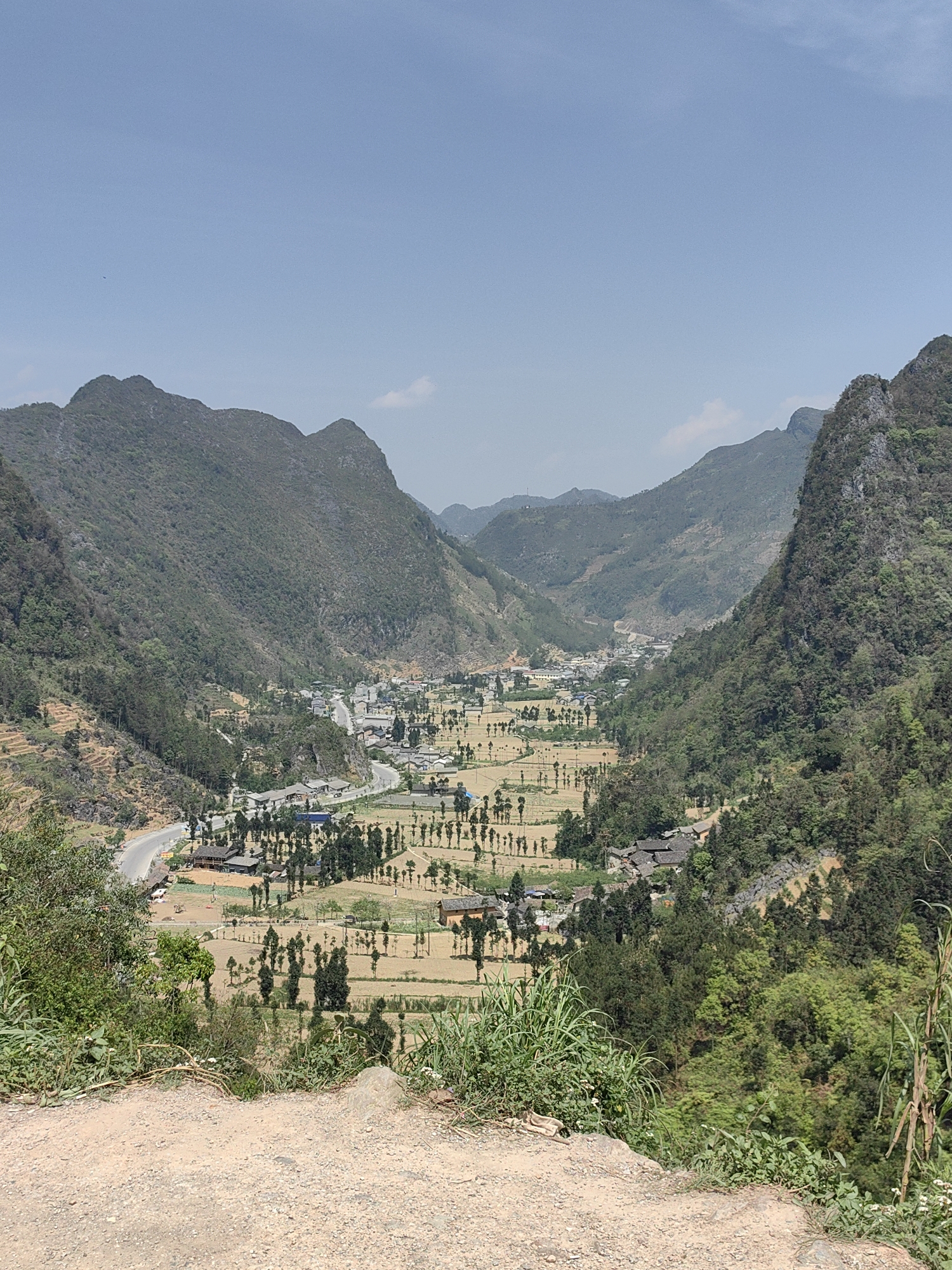 The image depicts a scenic overview of the Sà Phìn Commune valley in Vietnam. The foreground is dominated by a dirt platform with sparse vegetation. In the middle ground, a valley stretches out, showcasing rice fields in shades of yellow and brown. Regularly spaced rows of trees line the edges of the fields. Small houses with dark roofs are interspersed throughout the valley. A winding road can be seen on the left side of the valley. A village with more densely packed buildings sits further up the valley. The backdrop is comprised of a series of green mountains, which rise on either side of the valley, framing the view. The sky is blue and mostly clear.