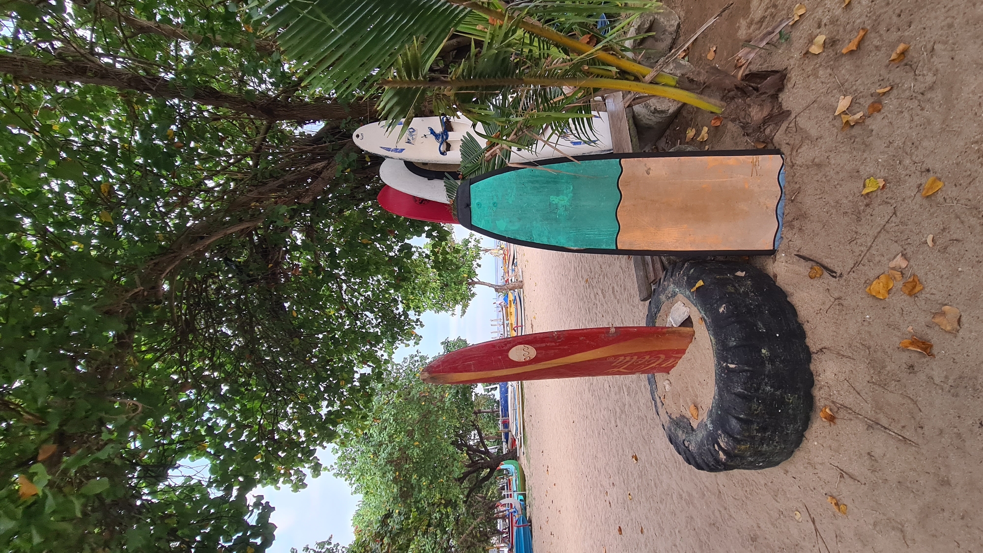 The image depicts a beach scene in Denpasar, Indonesia, featuring several surfboards and lush greenery. In the foreground, three surfboards are prominently displayed. The leftmost surfboard is red with yellow accents and appears to be partially embedded in a large, worn tire filled with sand. The middle surfboard is tall and features a turquoise top section and a tan bottom section with a blue wave design. To the right of that, another surfboard stands, primarily white with blue graphics. Behind these surfboards, more surfboards and colorful boats are visible on the sandy beach, leading towards the ocean. The background is dominated by the leafy canopy of large trees, suggesting a shaded area on the beach. The ground is covered in light-colored sand with scattered fallen leaves. The sky is overcast. There are no people visible in the image. The overall impression is a storage area for surfboards on a tropical beach.