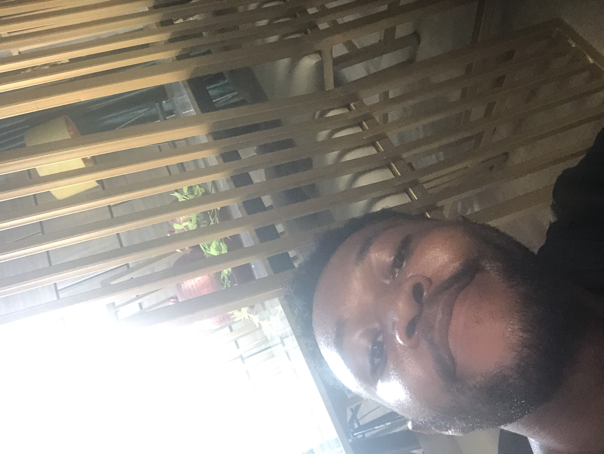An upward-tilted close-up selfie shows a man with a beard and mustache, looking directly at the camera. His face appears shiny, possibly from sweat or bright lighting. The background features a series of parallel light-colored wooden slats, oriented diagonally across the frame, suggesting a trellis, fence, or room divider.
Behind these slats, on the left side, there's a very bright, overexposed area that might be a window or a strong light source. Further back, in the upper portion of the frame, potted plants with green foliage and reddish pots are visible through the gaps in the slats. Other indistinct objects, possibly furniture or decorative items, can be vaguely seen behind the wooden structure. The overall lighting seems to be a mix of bright ambient light from the left and dimmer, more shadowed areas, especially on the right side of the image where the man's hair and clothing are. No text is visible.