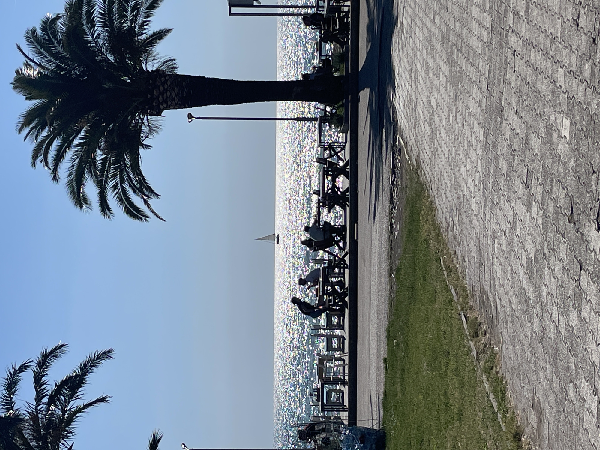 A horizontal outdoor shot shows a scene in Bar, Montenegro. In the foreground, palm trees frame the left side. A promenade with tables and chairs runs along the water's edge, occupied by silhouetted figures. In the background, the sea glitters, reflecting sunlight. A small sailboat is visible on the horizon. To the right of the promenade is a strip of grass, followed by a paved pathway. The sky is clear and blue.