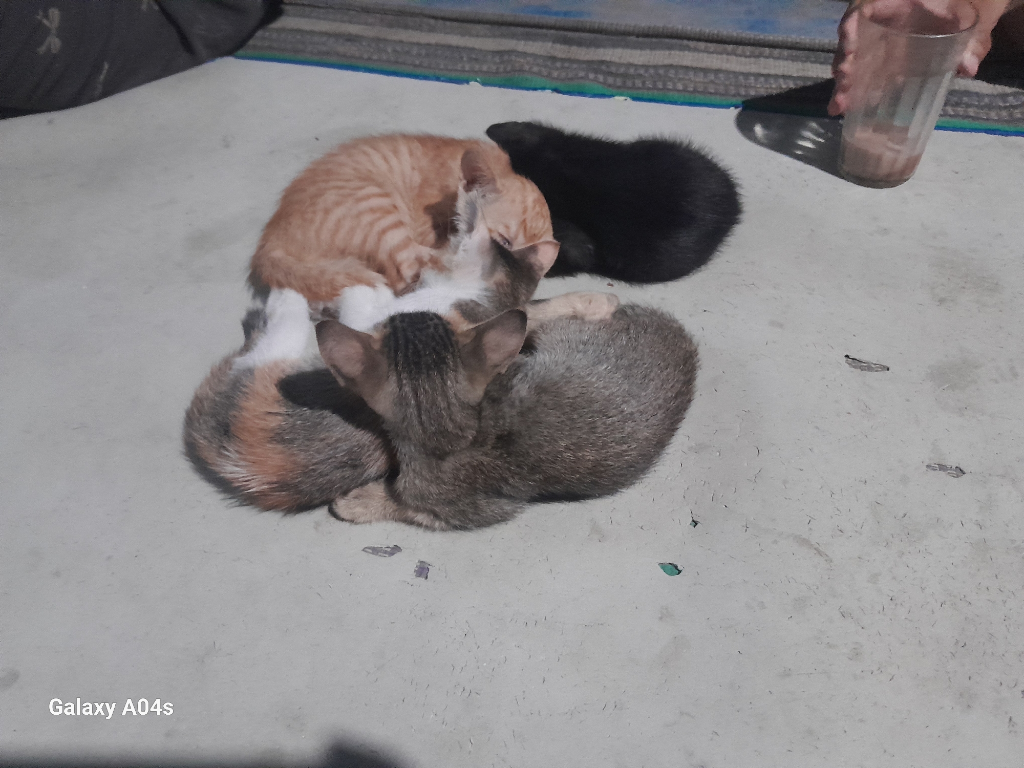 Four kittens are huddled together on a light gray concrete surface. From left to right, the kittens are: a calico kitten, an orange tabby kitten, a black kitten, and a gray tabby kitten. The calico kitten is on the bottom, with its head tucked under the orange tabby kitten. The orange tabby kitten is curled on top of the calico kitten and the gray tabby kitten. The black kitten is to the right of the orange tabby kitten. The gray tabby kitten is to the right and front of the orange tabby kitten, with its head facing to the left.
In the upper right corner of the image, a hand is holding a clear glass with a light brown liquid inside. The hand and glass cast a shadow on the concrete surface. The background consists of a striped mat in shades of gray, blue, and white. The scene is outdoors, as indicated by the shadows and the concrete ground. The bottom left corner of the image shows the text "Galaxy A04s".