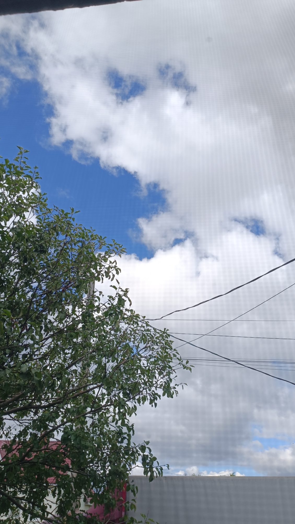 This image, taken from a window in the city of Karsha, Russia, depicts a partially cloudy sky with a tree in the foreground. The tree, with its green leaves and branches, occupies the left side of the frame. Several power lines are visible traversing the sky. In the background, a building with a red roof and a gray wall are partially visible. The overall scene suggests an outdoor environment.