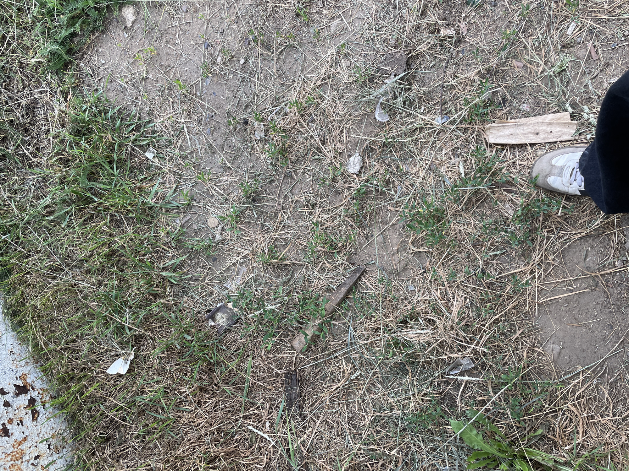 An overhead, full shot shows a dry, grassy patch of ground next to a rusty, textured wall. A person's foot, wearing a light-colored athletic shoe and black pants, is visible in the bottom right corner. Scattered throughout the frame are various pieces of debris, including dried grass, twigs, and what appear to be small bits of paper or plastic. A pointed wooden stake lies in the middle of the frame. The overall scene suggests an outdoor environment with signs of neglect or disarray. The location is Пруды, Russia.